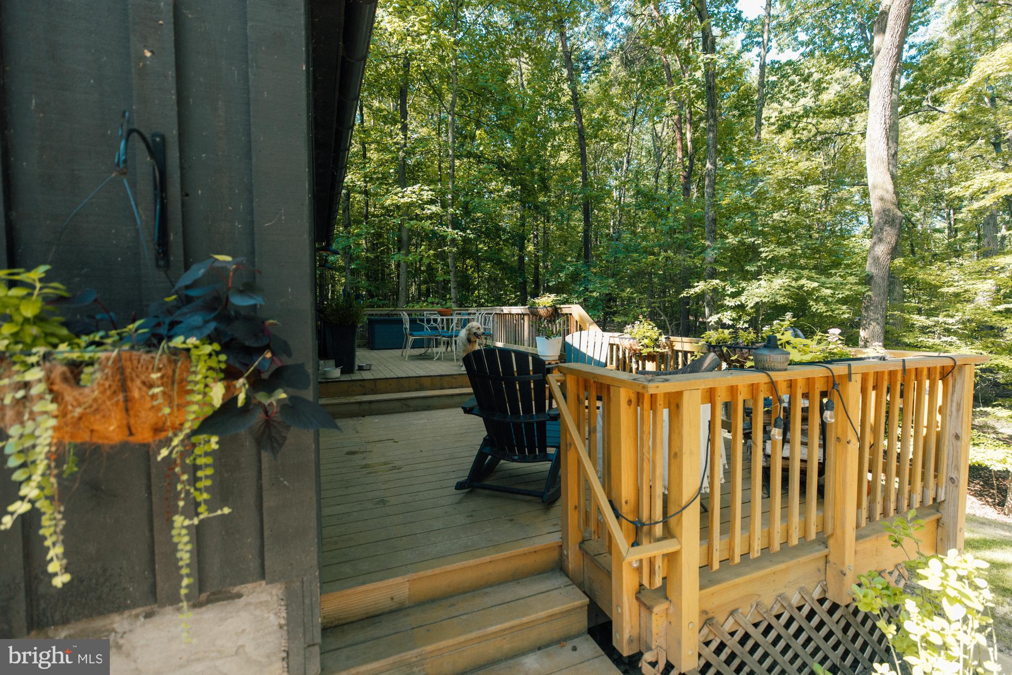 167 POPLAR LANE
