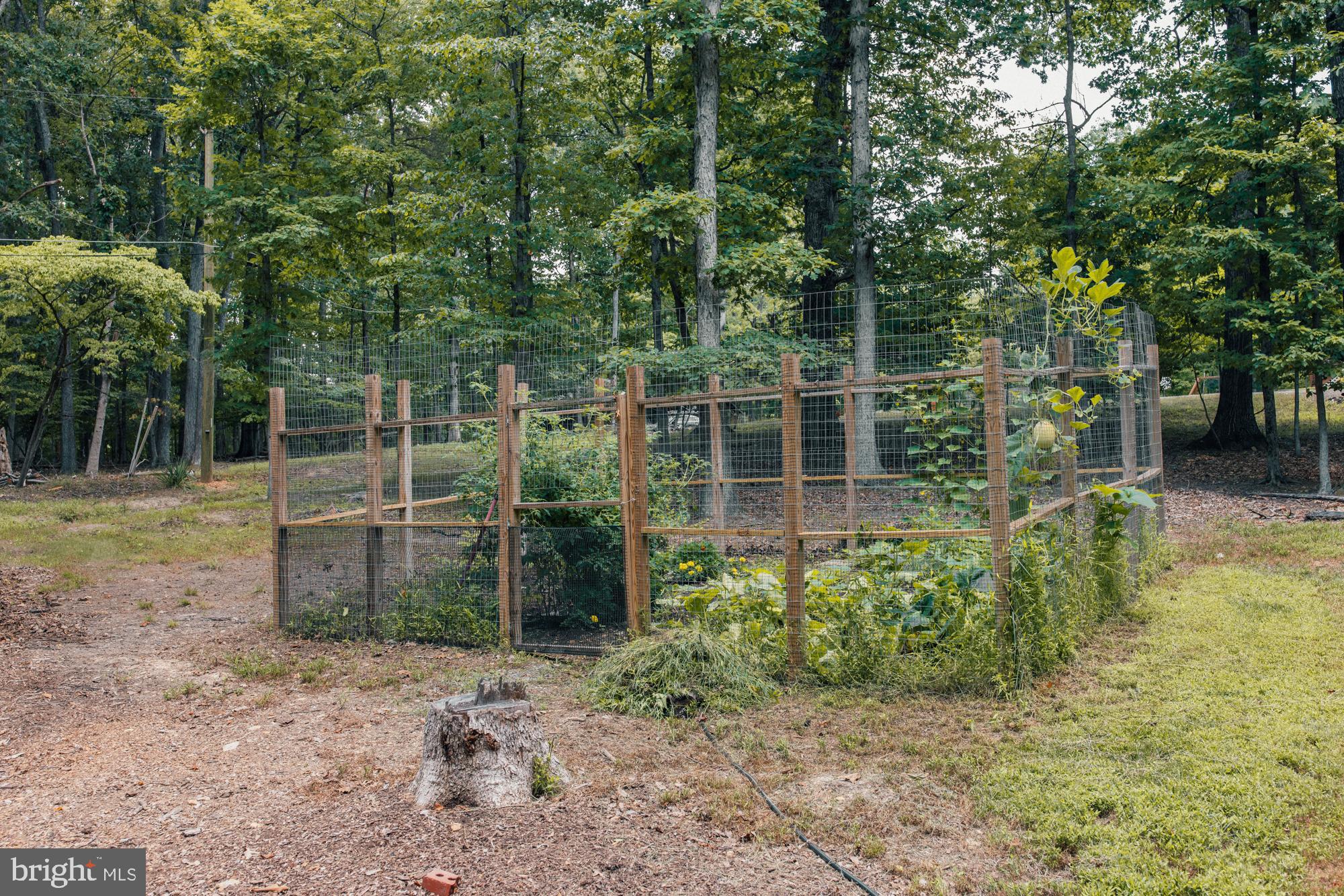 167 POPLAR LANE