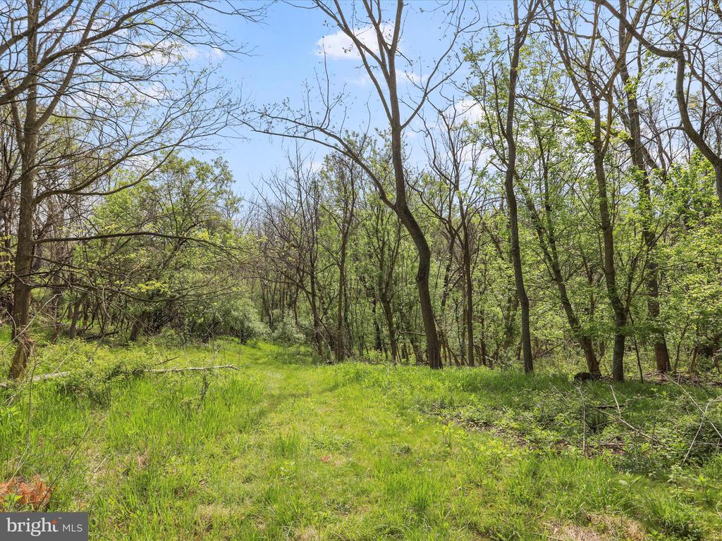 2671 PARSHALL ROAD