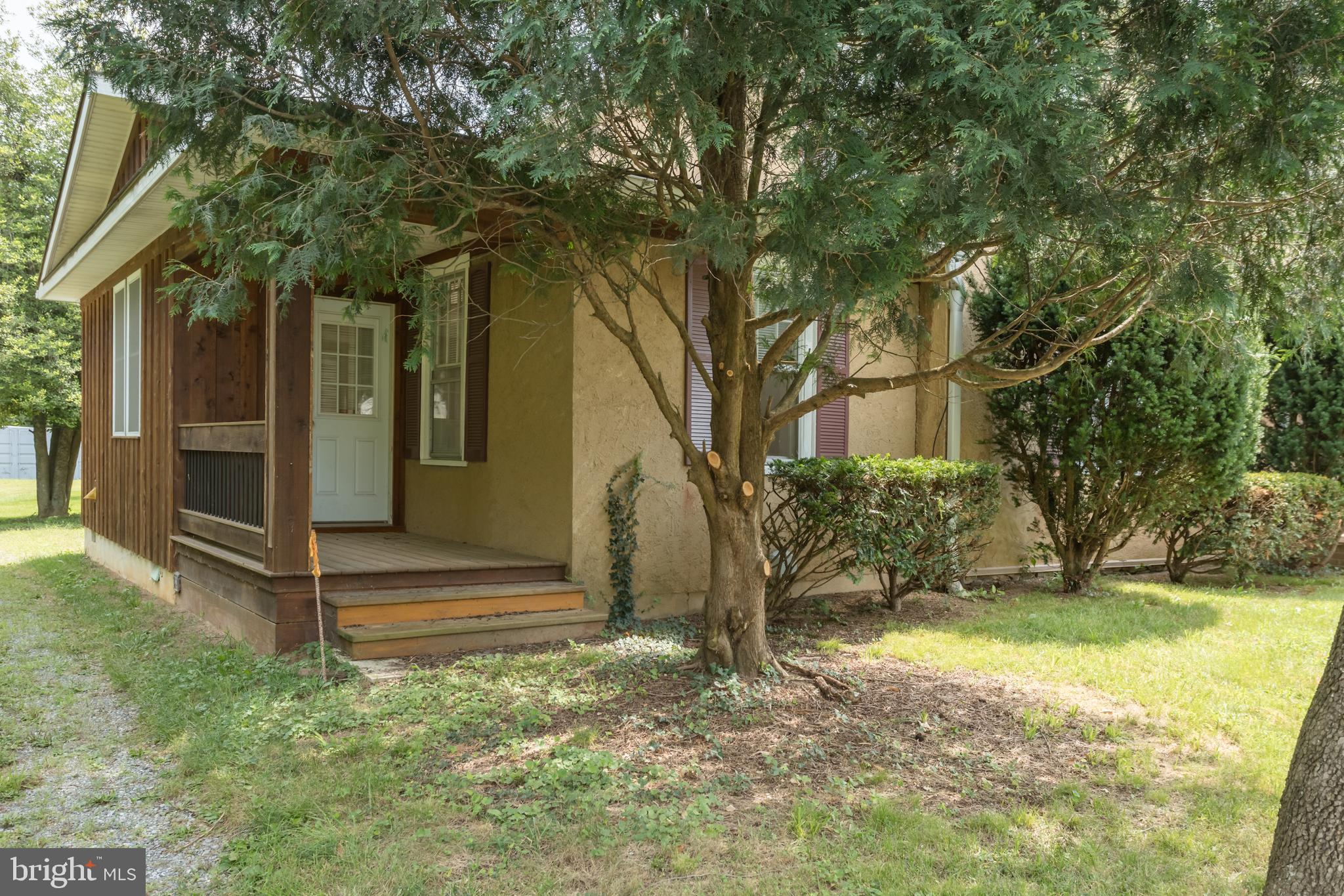 218 TREADWELL STREET