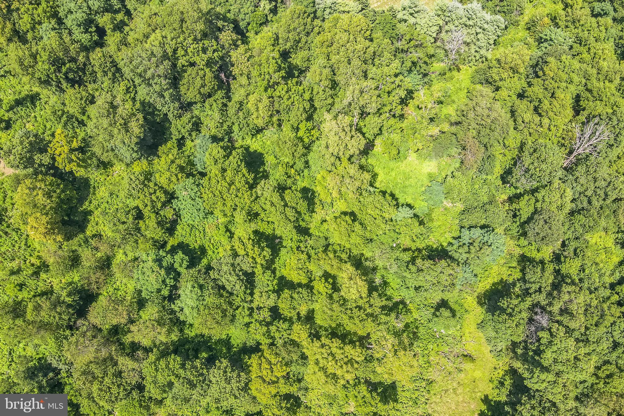 1683 WITHERS LARUE ROAD