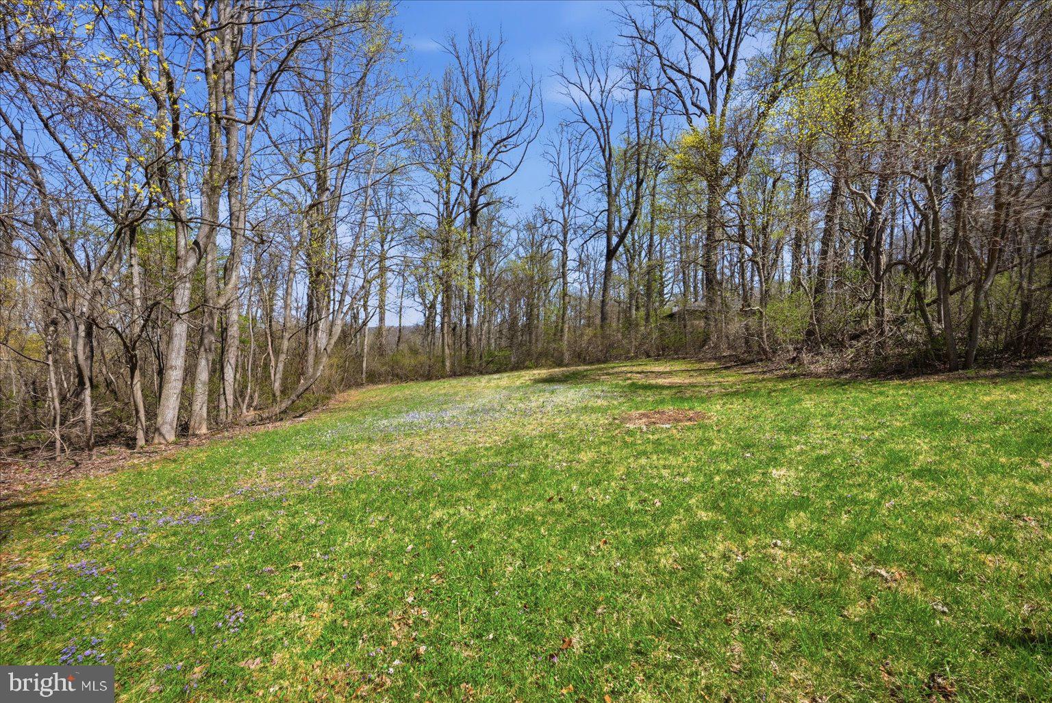 22009 BLUE RIDGE MTN ROAD