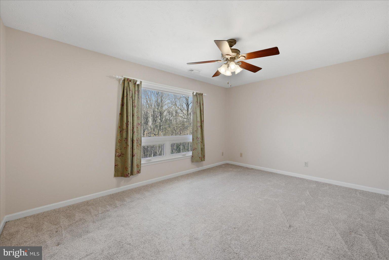 22009 BLUE RIDGE MTN ROAD