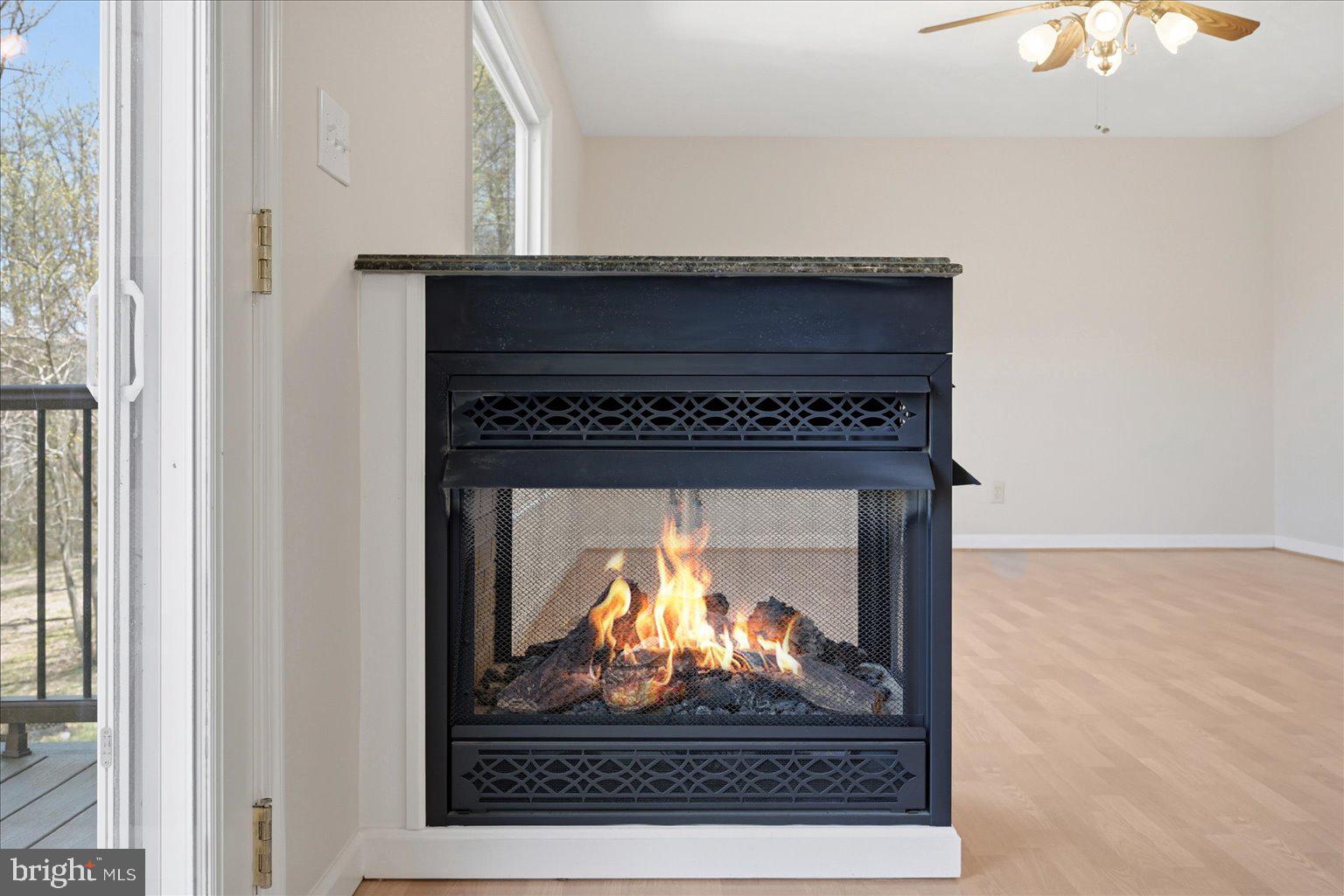 22009 BLUE RIDGE MTN ROAD