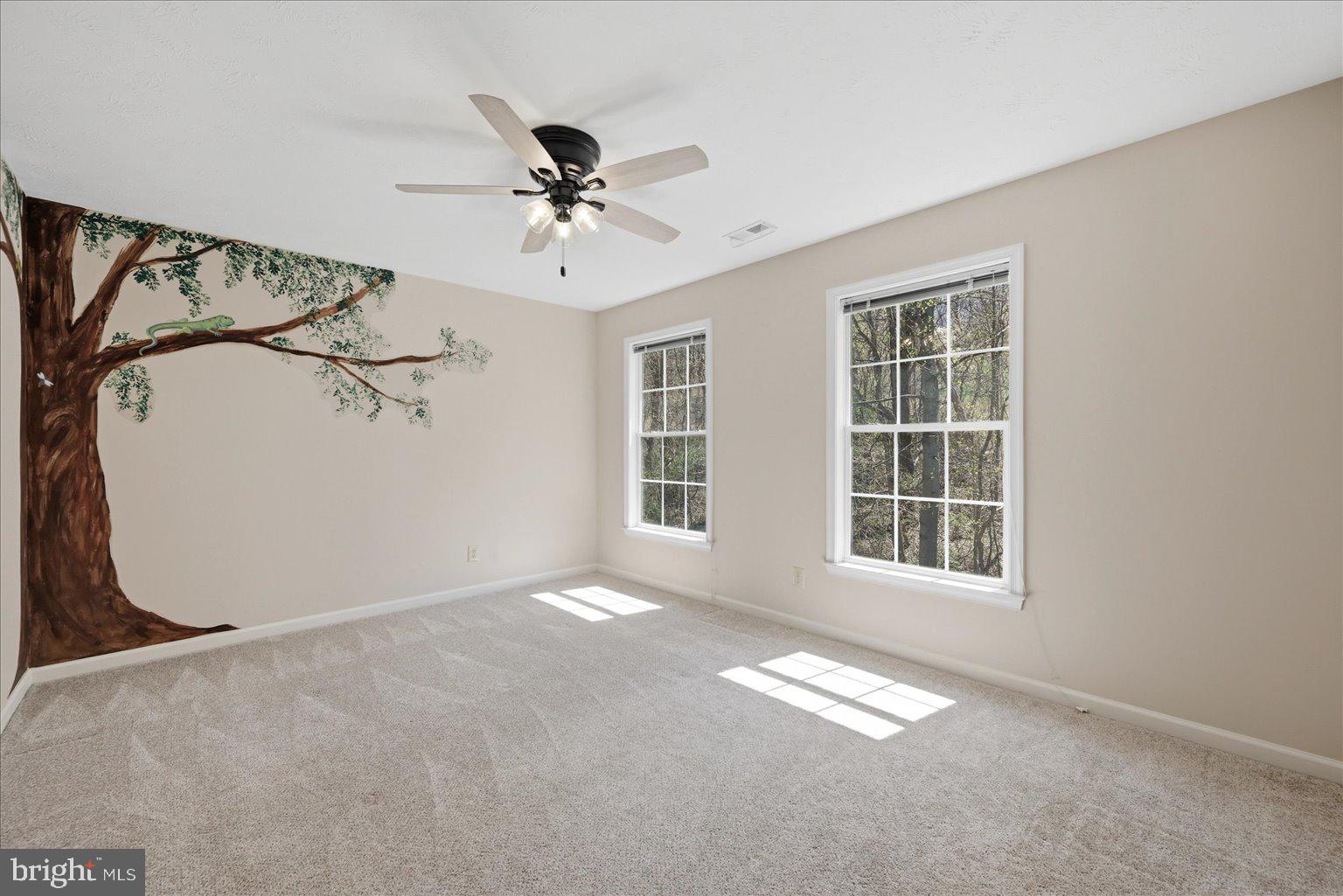 22009 BLUE RIDGE MTN ROAD