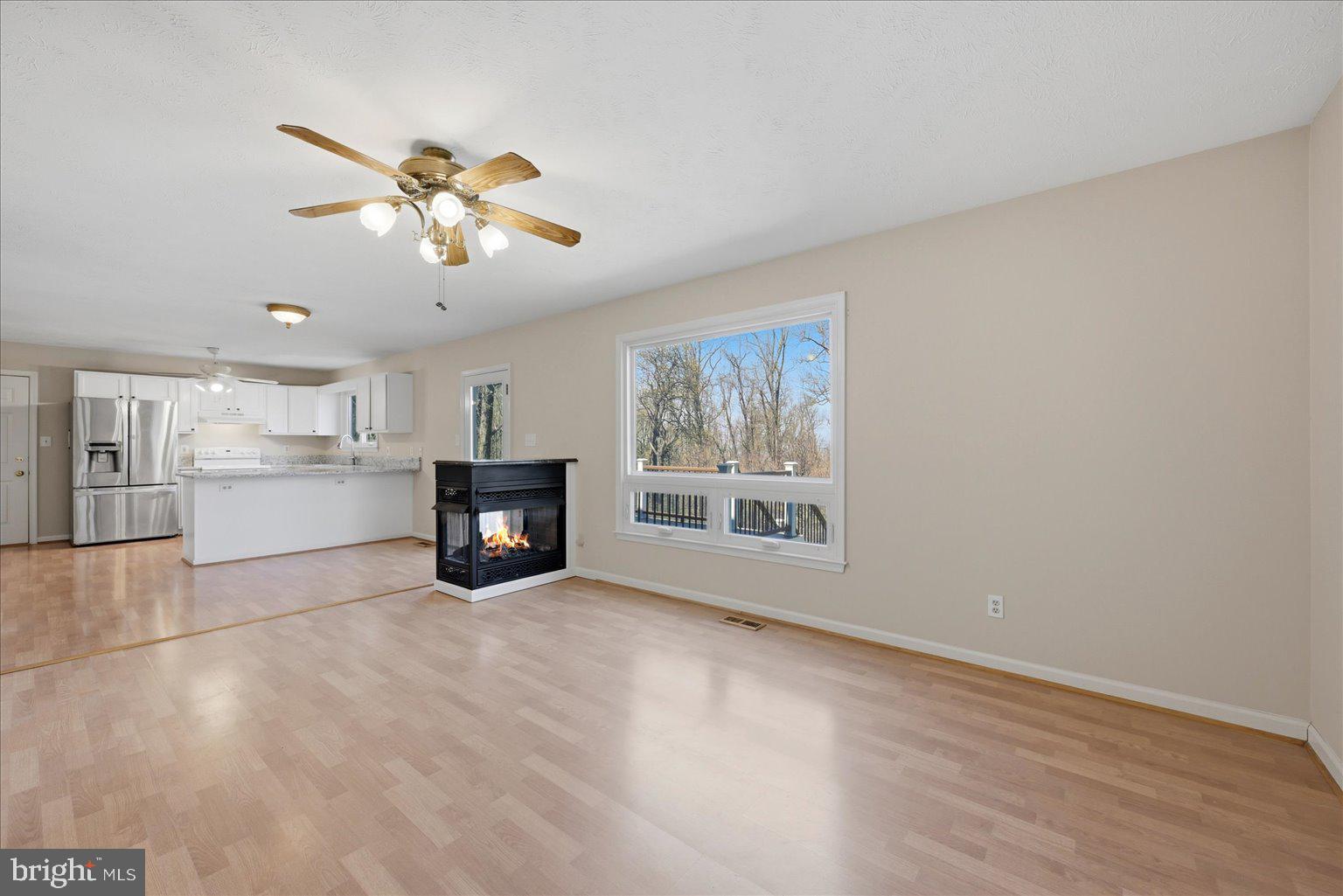 22009 BLUE RIDGE MTN ROAD