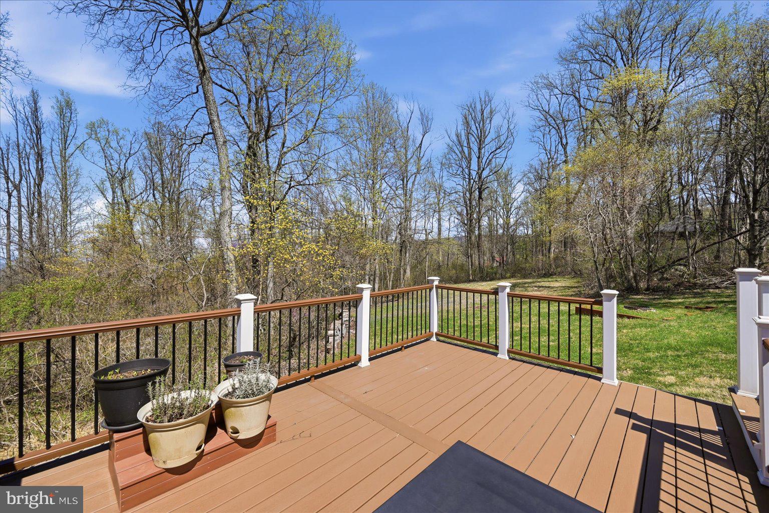 22009 BLUE RIDGE MTN ROAD