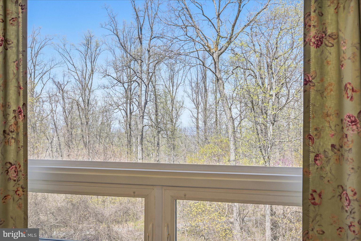 22009 BLUE RIDGE MTN ROAD