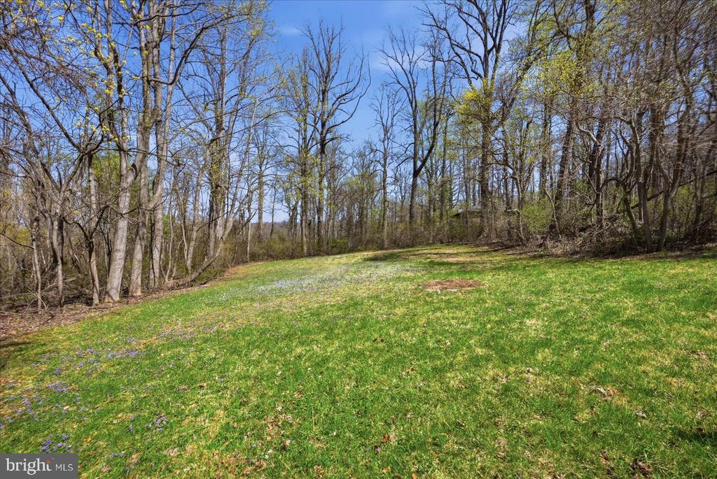 22009 BLUE RIDGE MTN ROAD