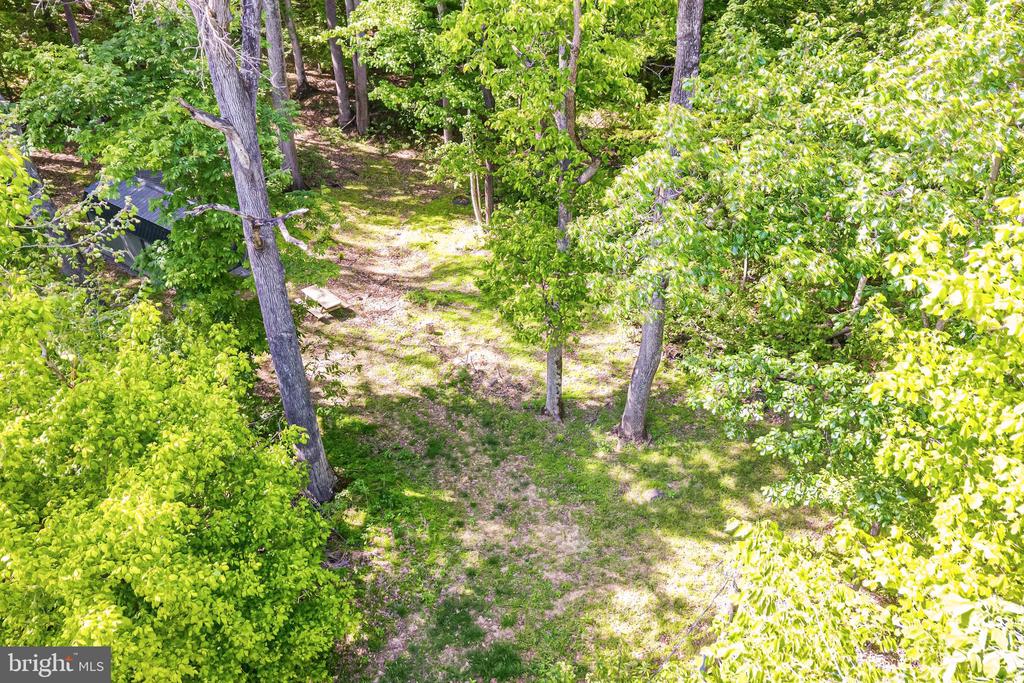 3009 CALMES NECK LANE LANE