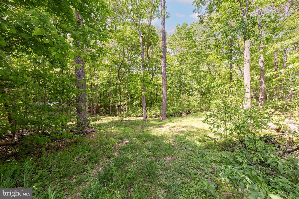 3009 CALMES NECK LANE LANE