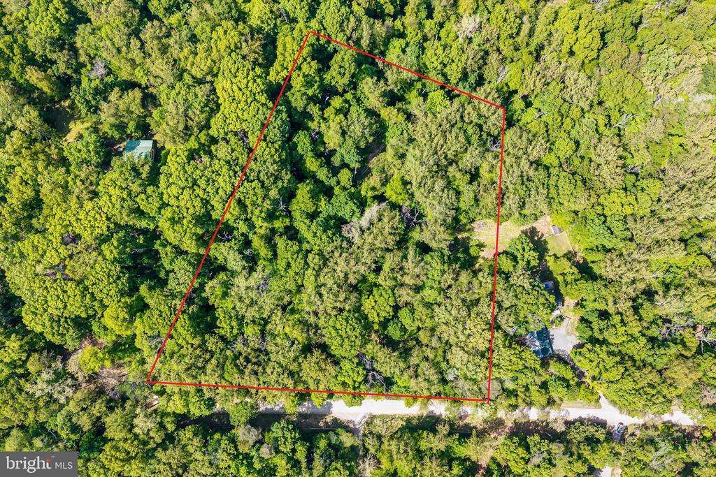 3009 CALMES NECK LANE LANE