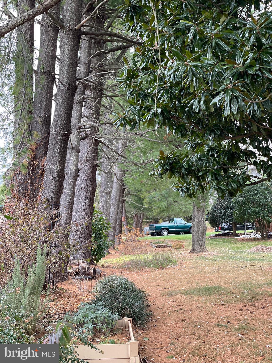 20131 WILLIAMS DRIVE