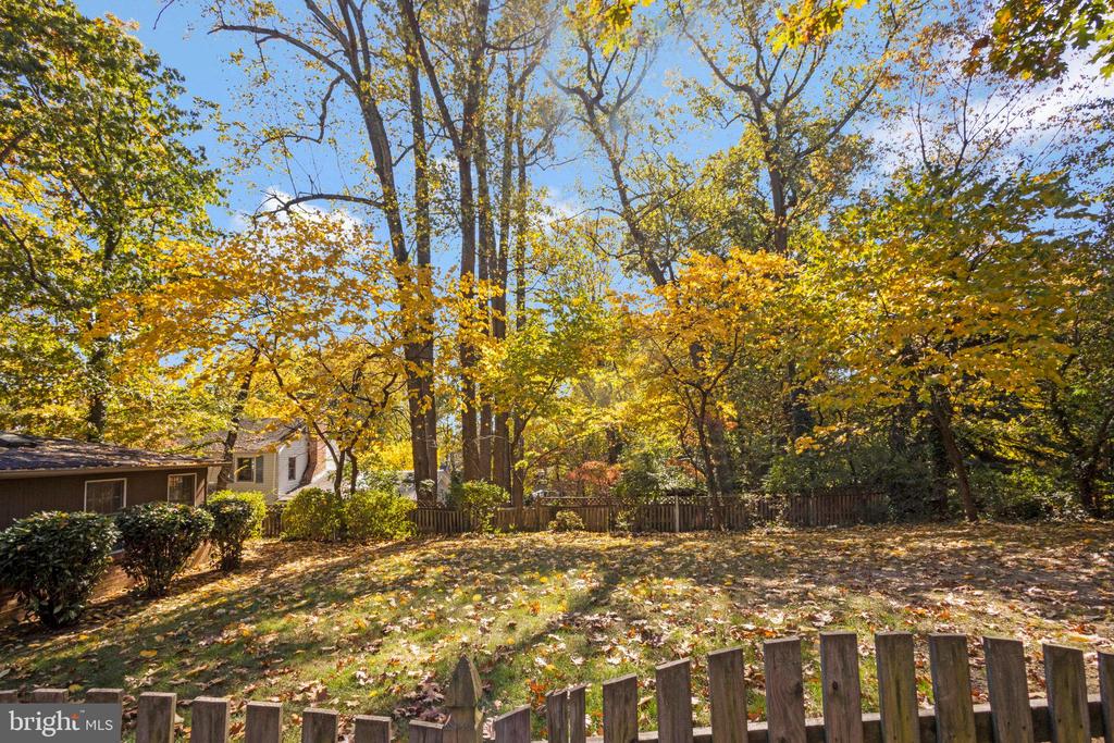 207 POPLAR DRIVE