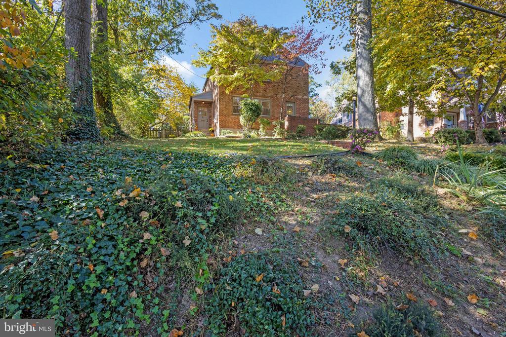 207 POPLAR DRIVE