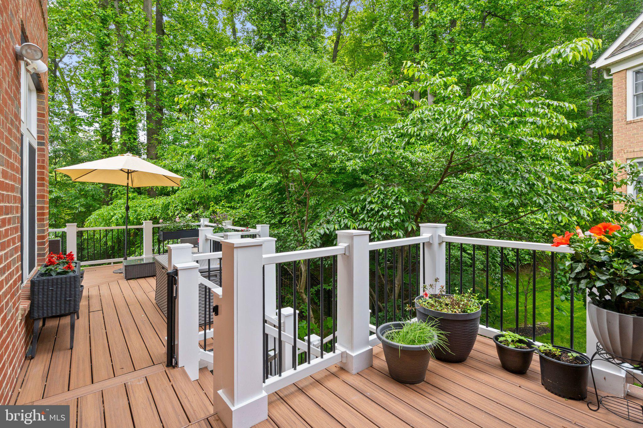 3528 SCHUERMAN HOUSE DRIVE