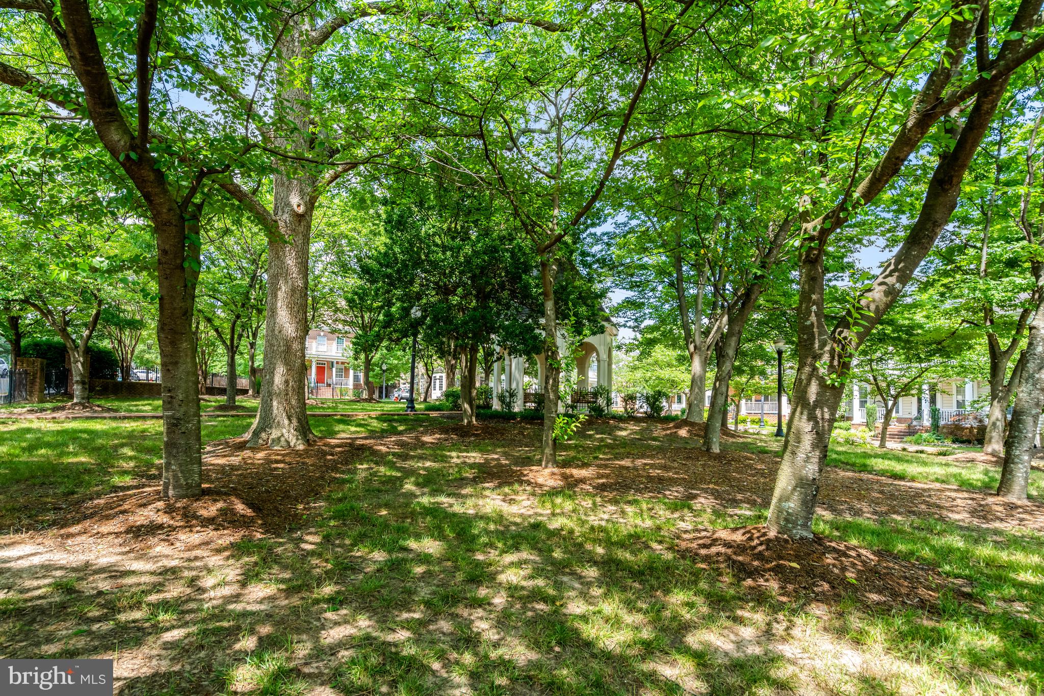 9776 MAPLE TRACE CIRCLE