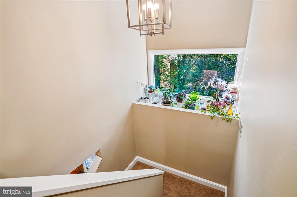 3501 REDWOOD COURT