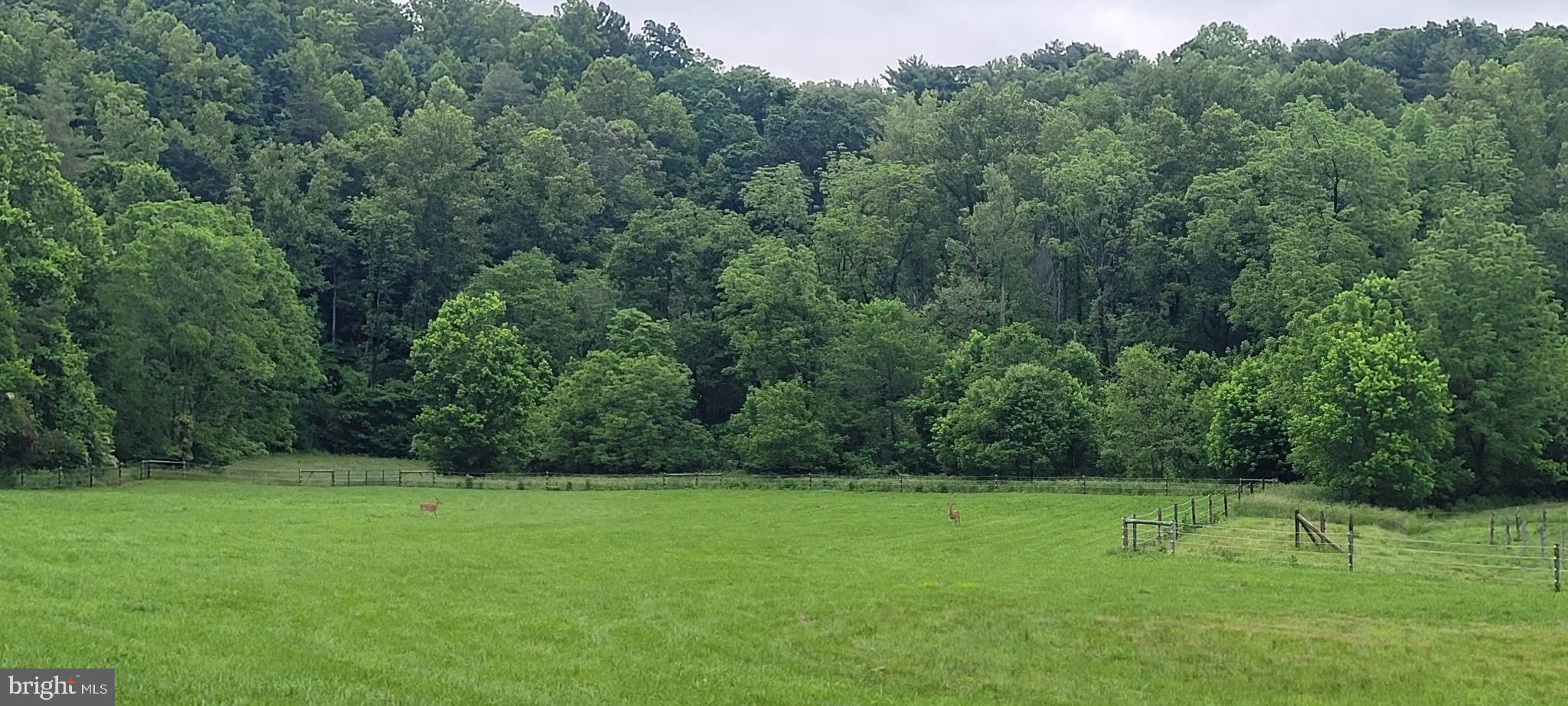 325 GLENNWOOD DRIVE