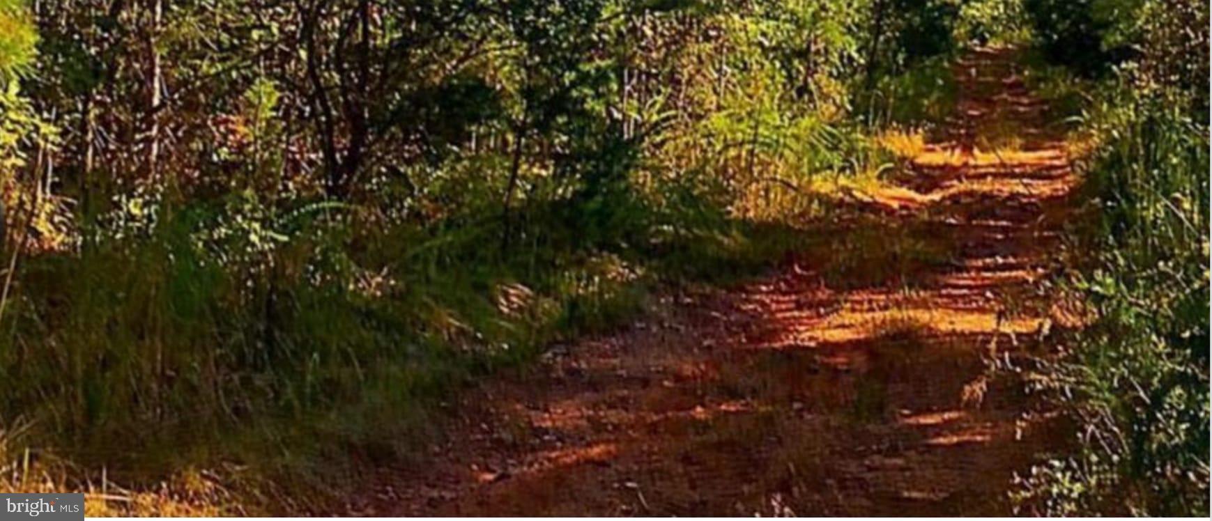 00000 MARSH RD