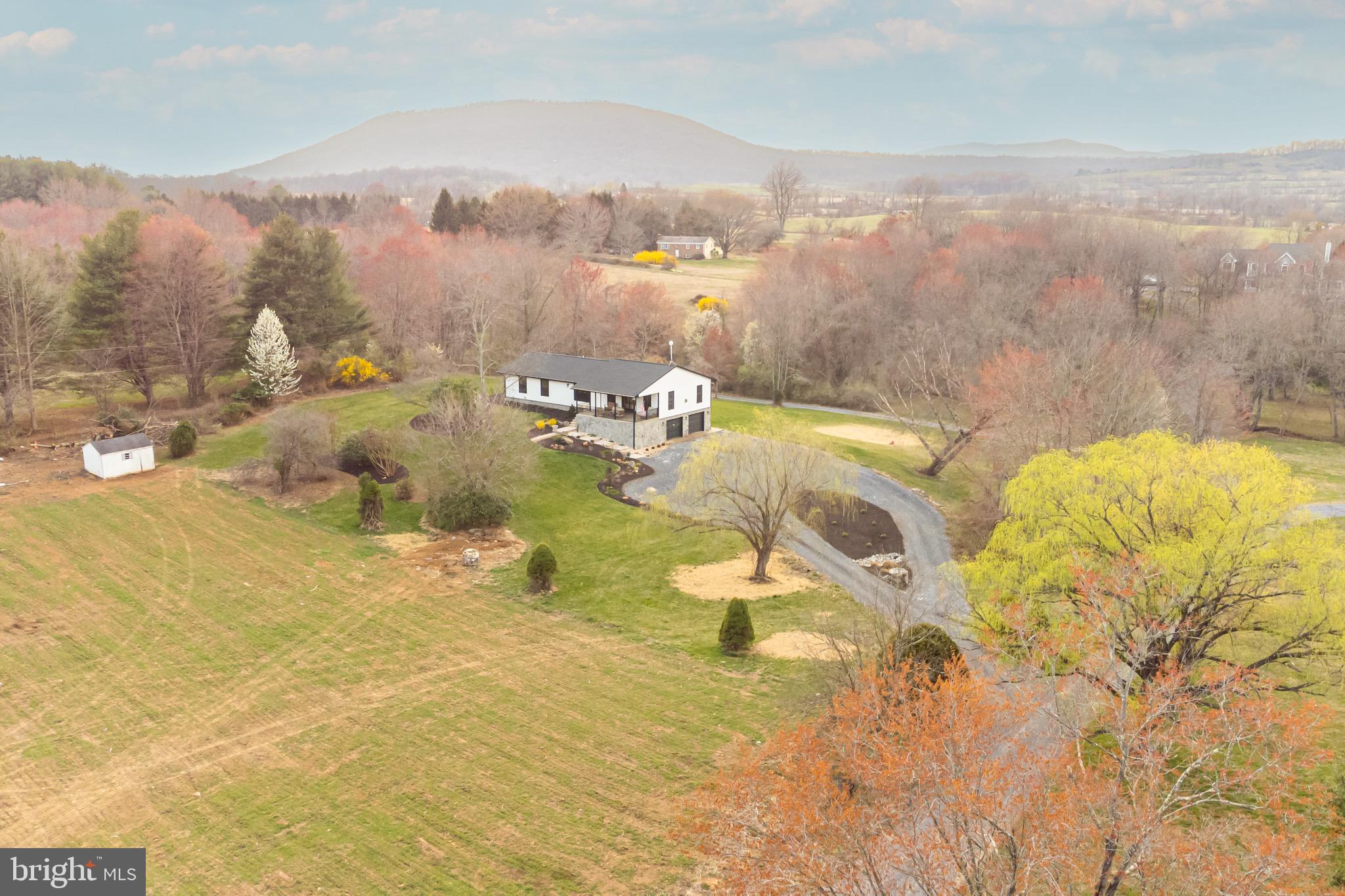 9481 WALSINGHAM LANE