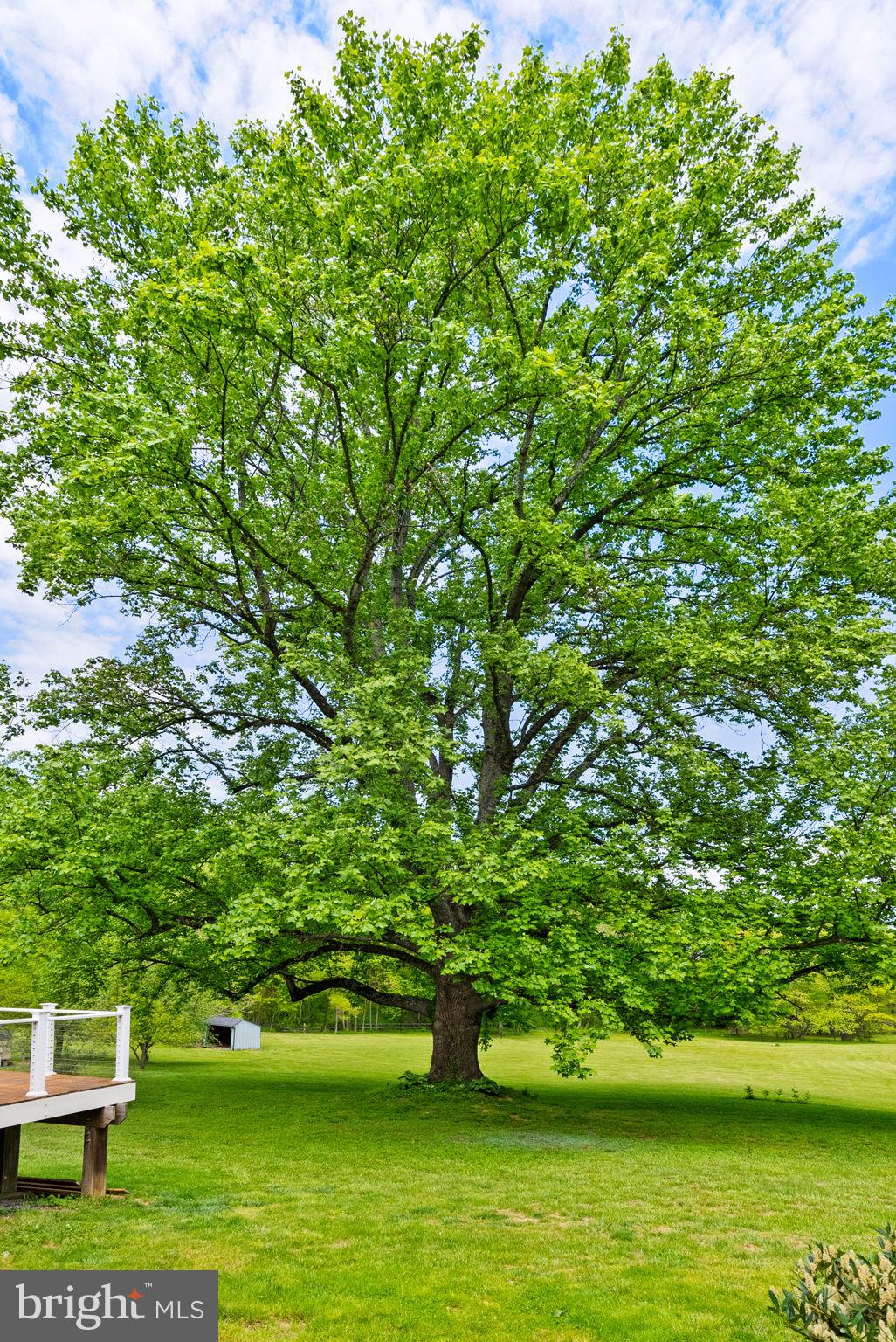 3380 RECTORTOWN ROAD