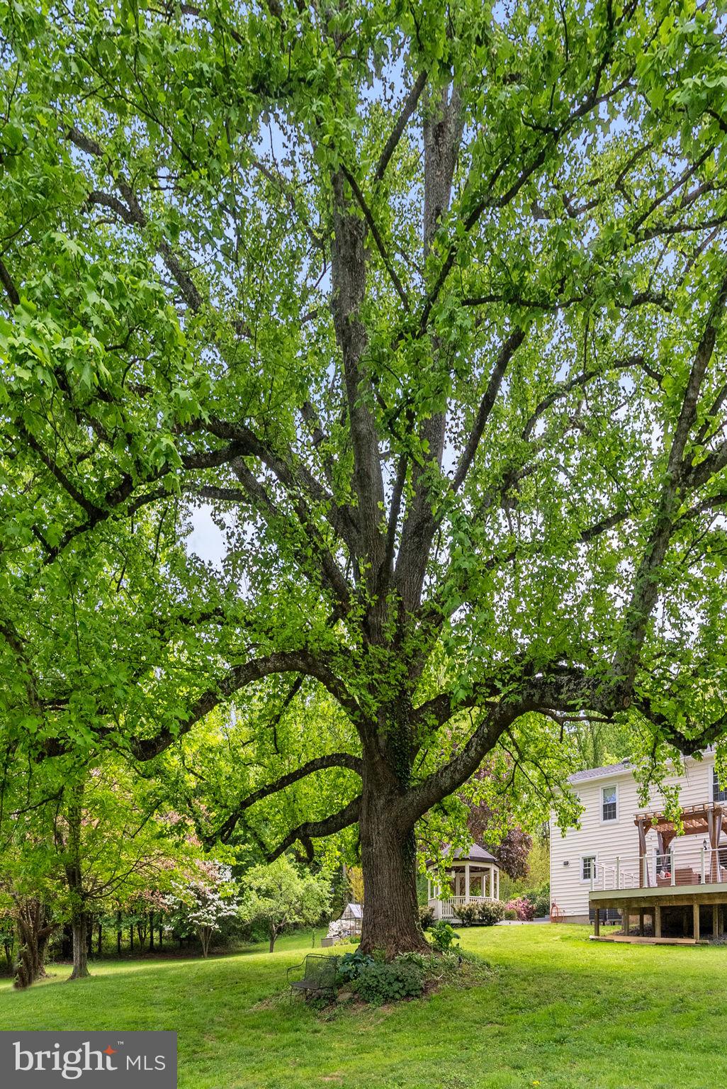 3380 RECTORTOWN ROAD