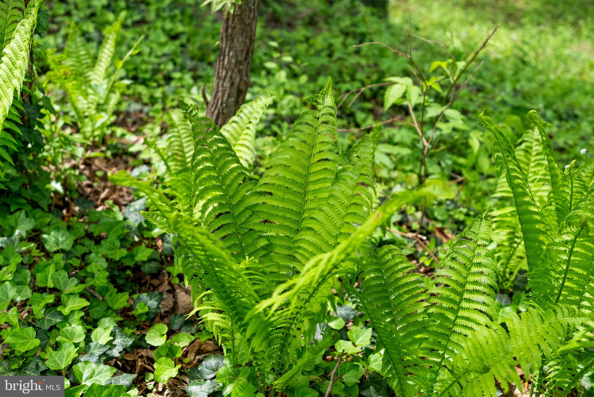 3380 RECTORTOWN ROAD