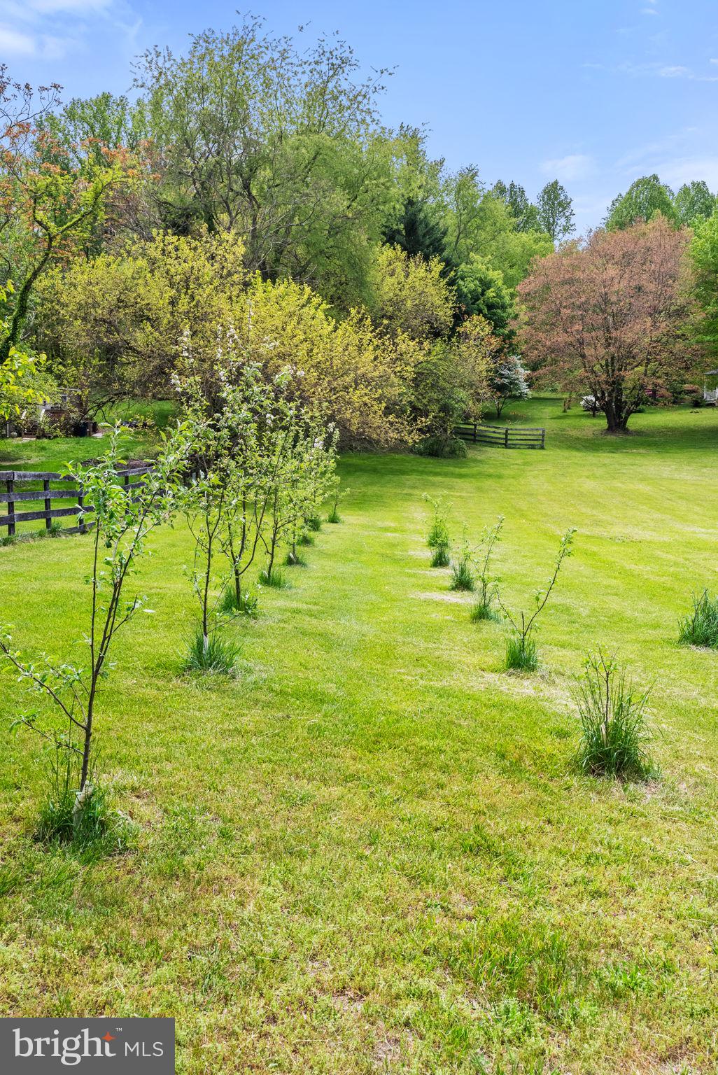 3380 RECTORTOWN ROAD