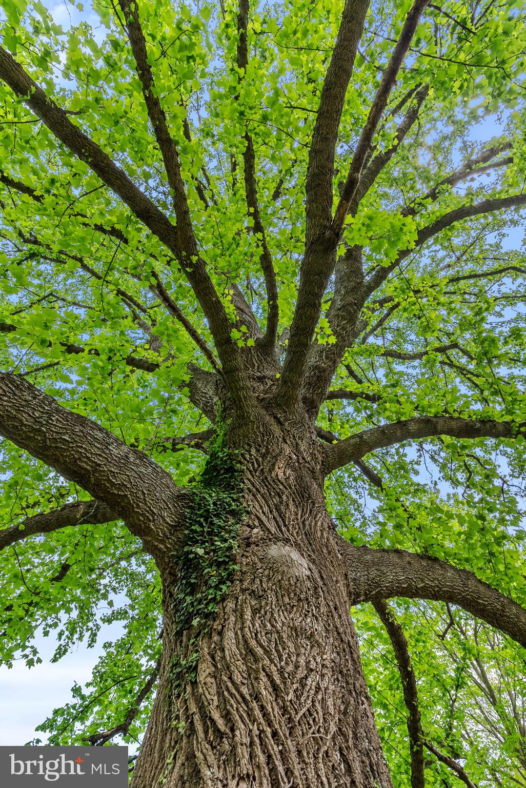 3380 RECTORTOWN ROAD