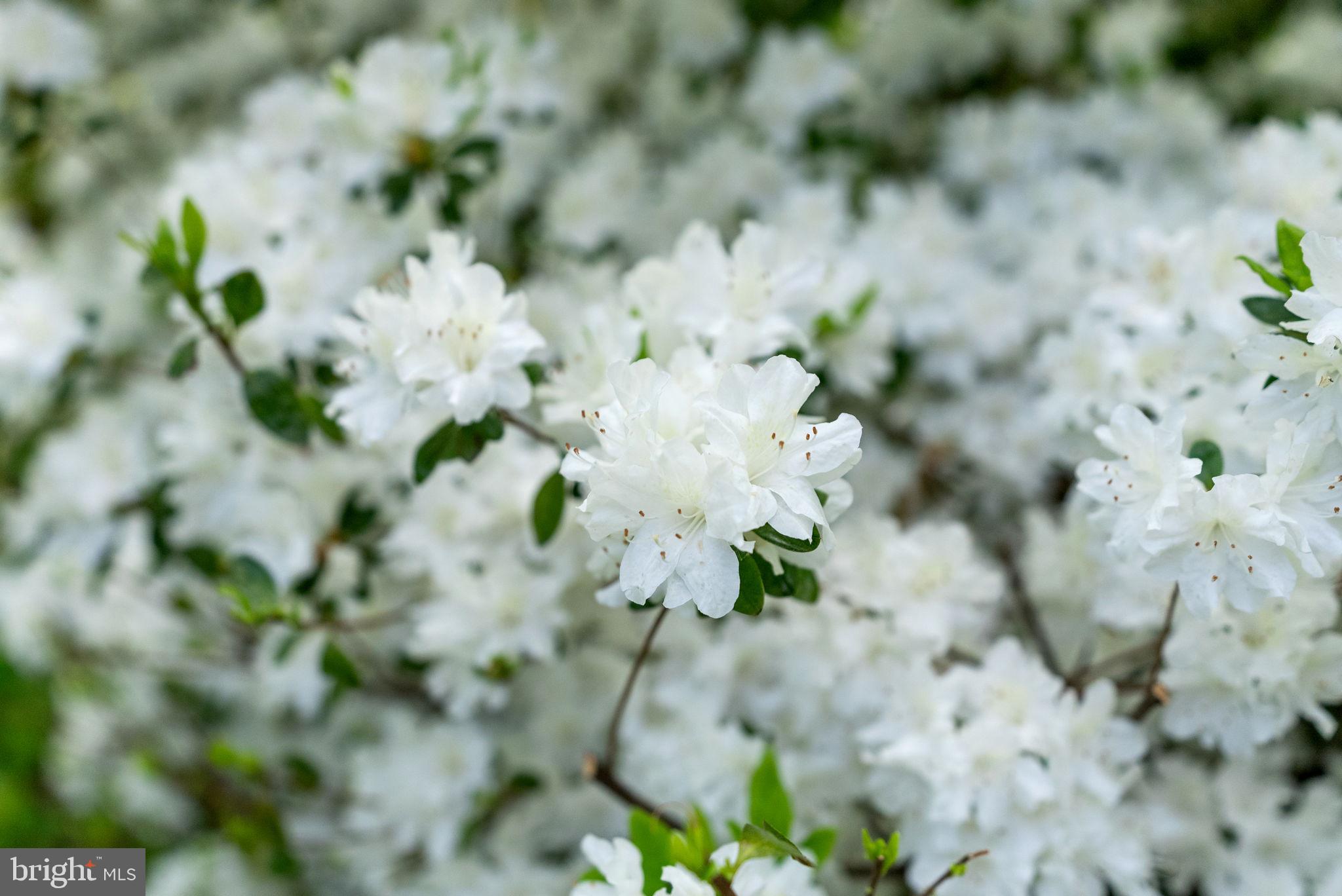 3380 RECTORTOWN ROAD