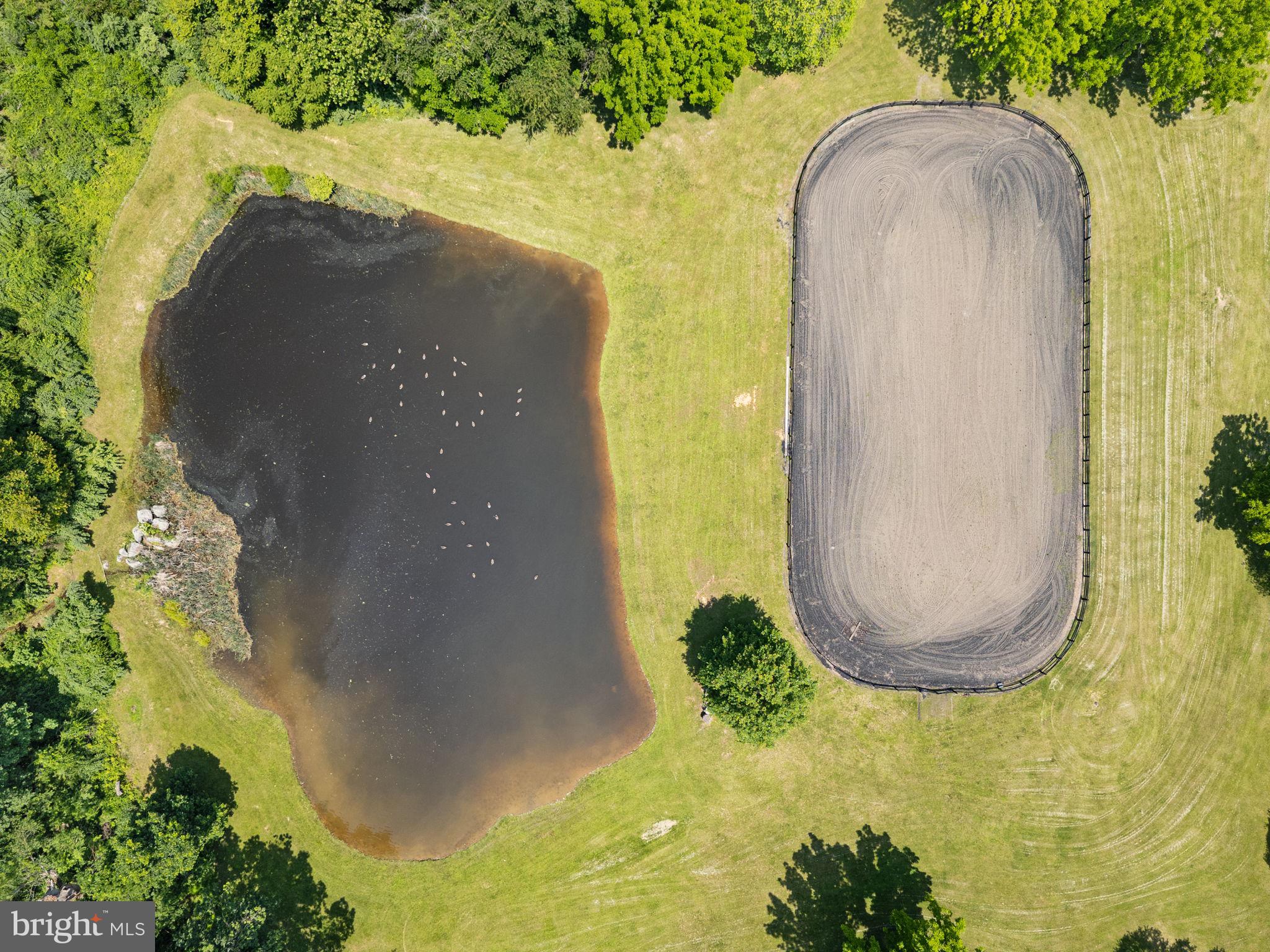 10052 POSSUM HOLLOW DRIVE