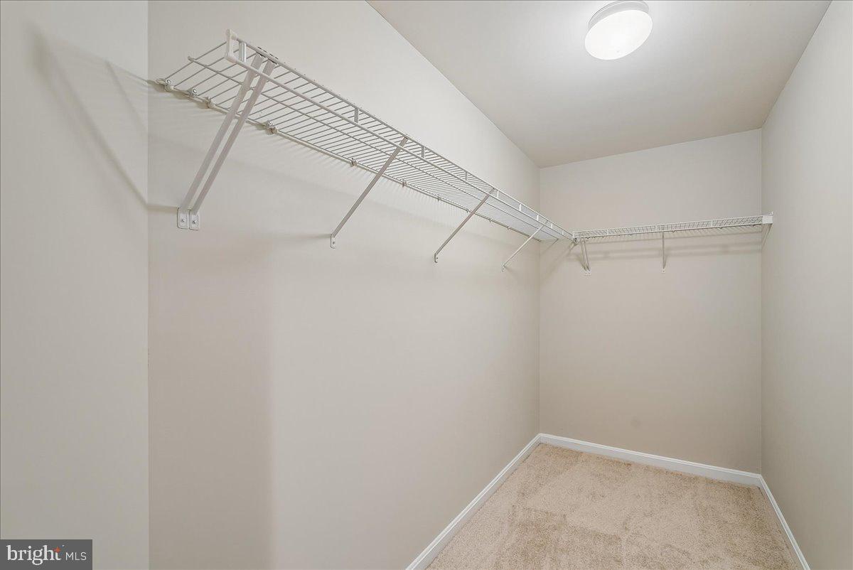6854 AVERBACH COURT