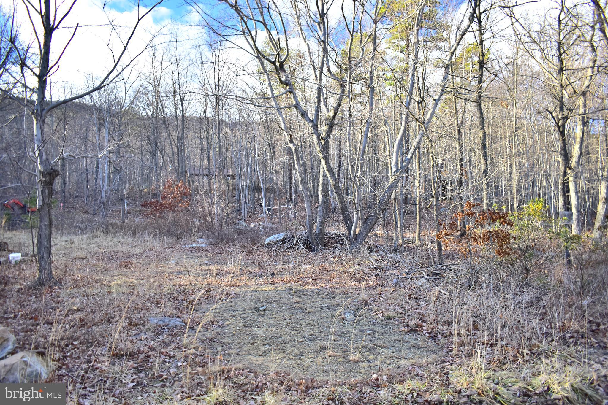 12 ELK TRAIL