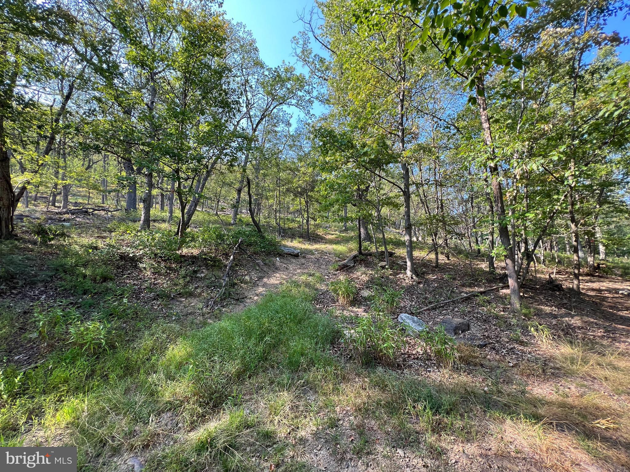 12 ELK TRAIL