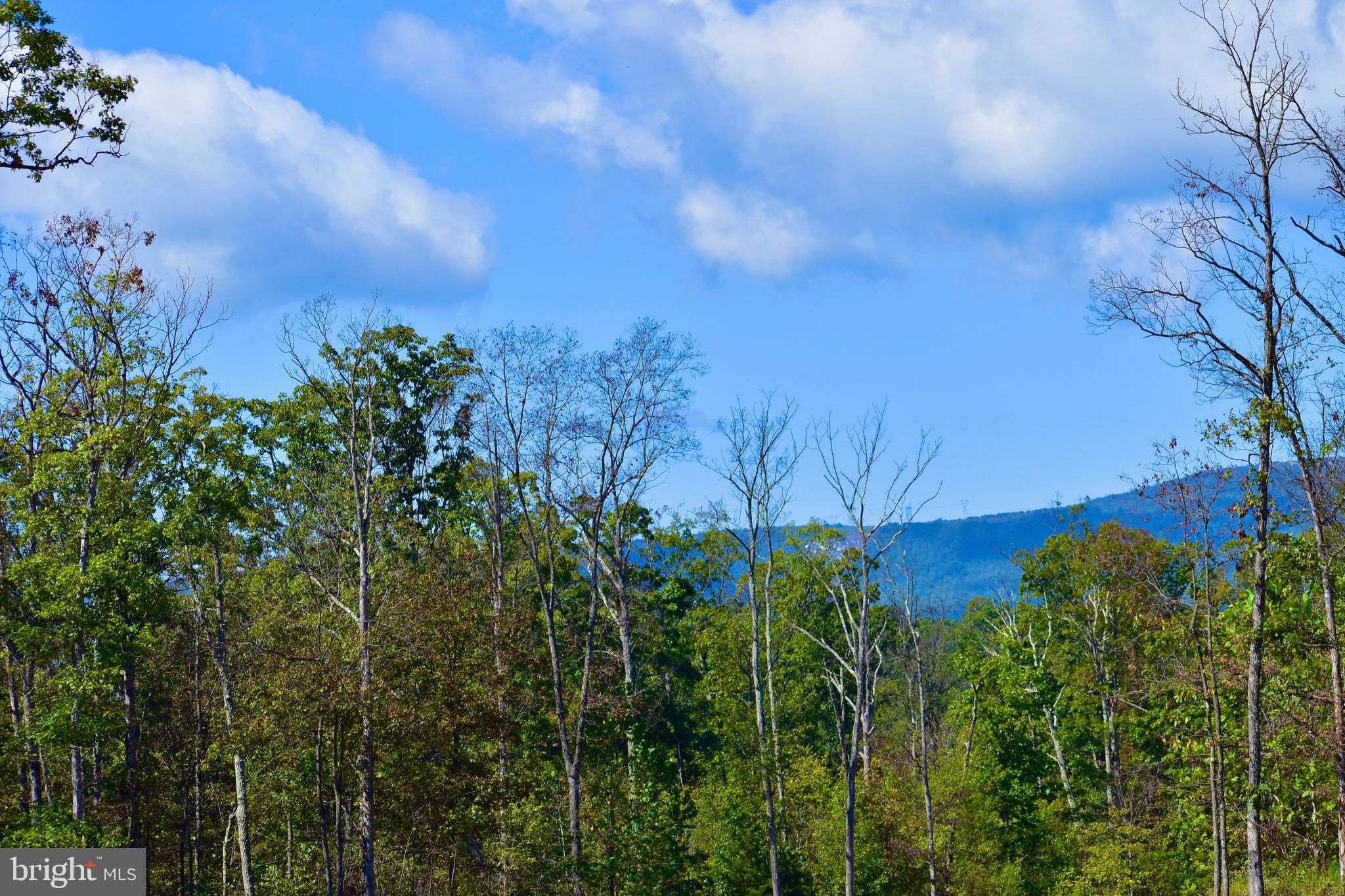 158.5 Acres Lot 3 LAUREL GROVE RD.