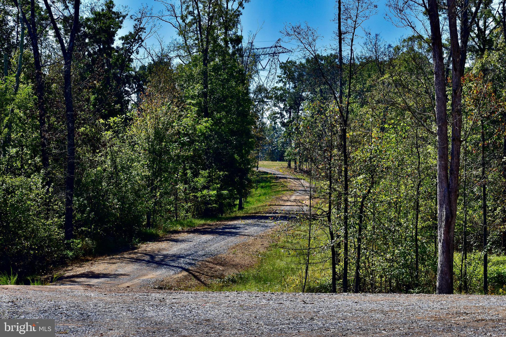 158.5 Acres Lot 3 LAUREL GROVE RD.