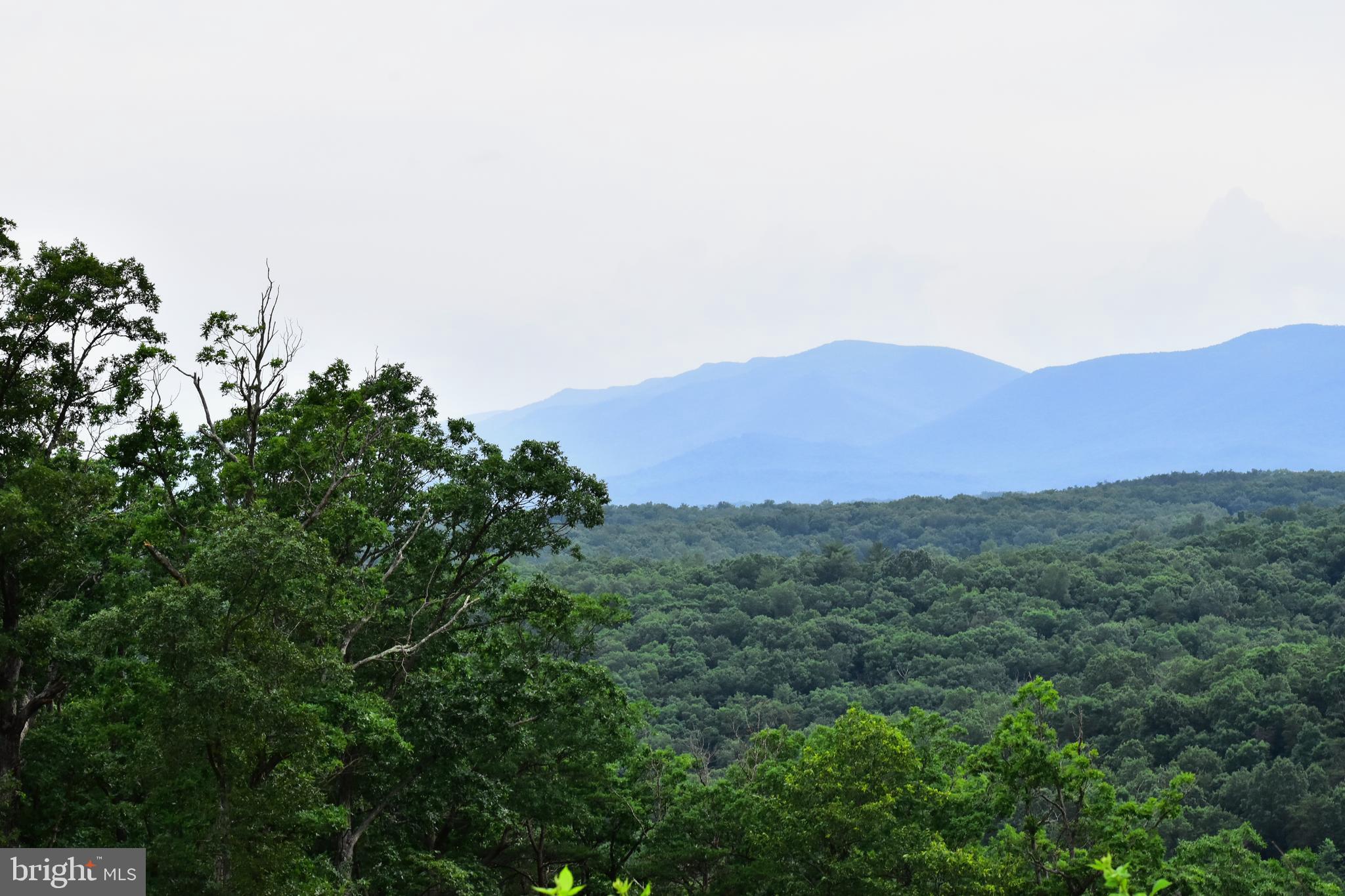 158.5 Acres Lot 3 LAUREL GROVE RD.