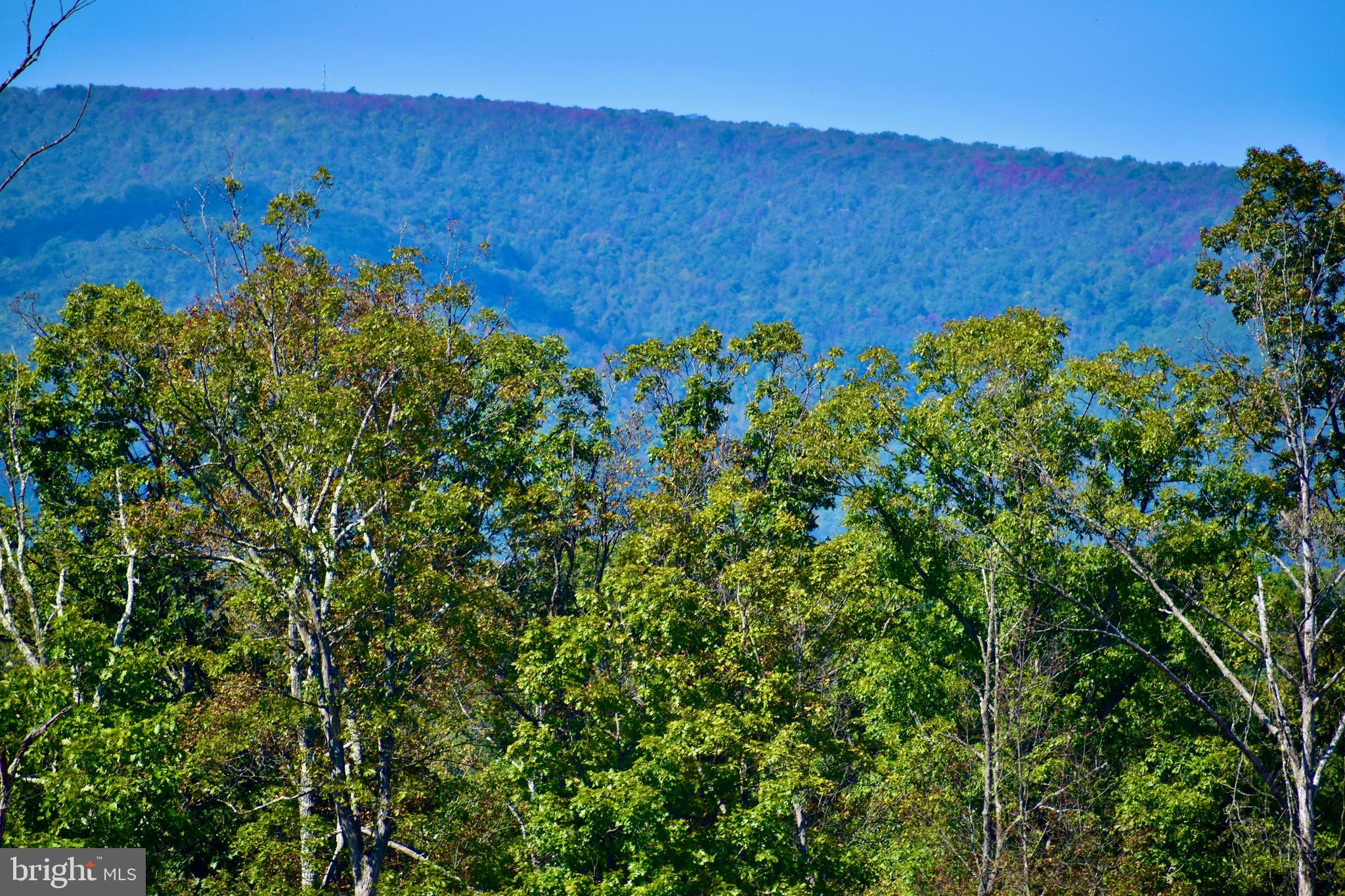 158.5 Acres Lot 3 LAUREL GROVE RD.