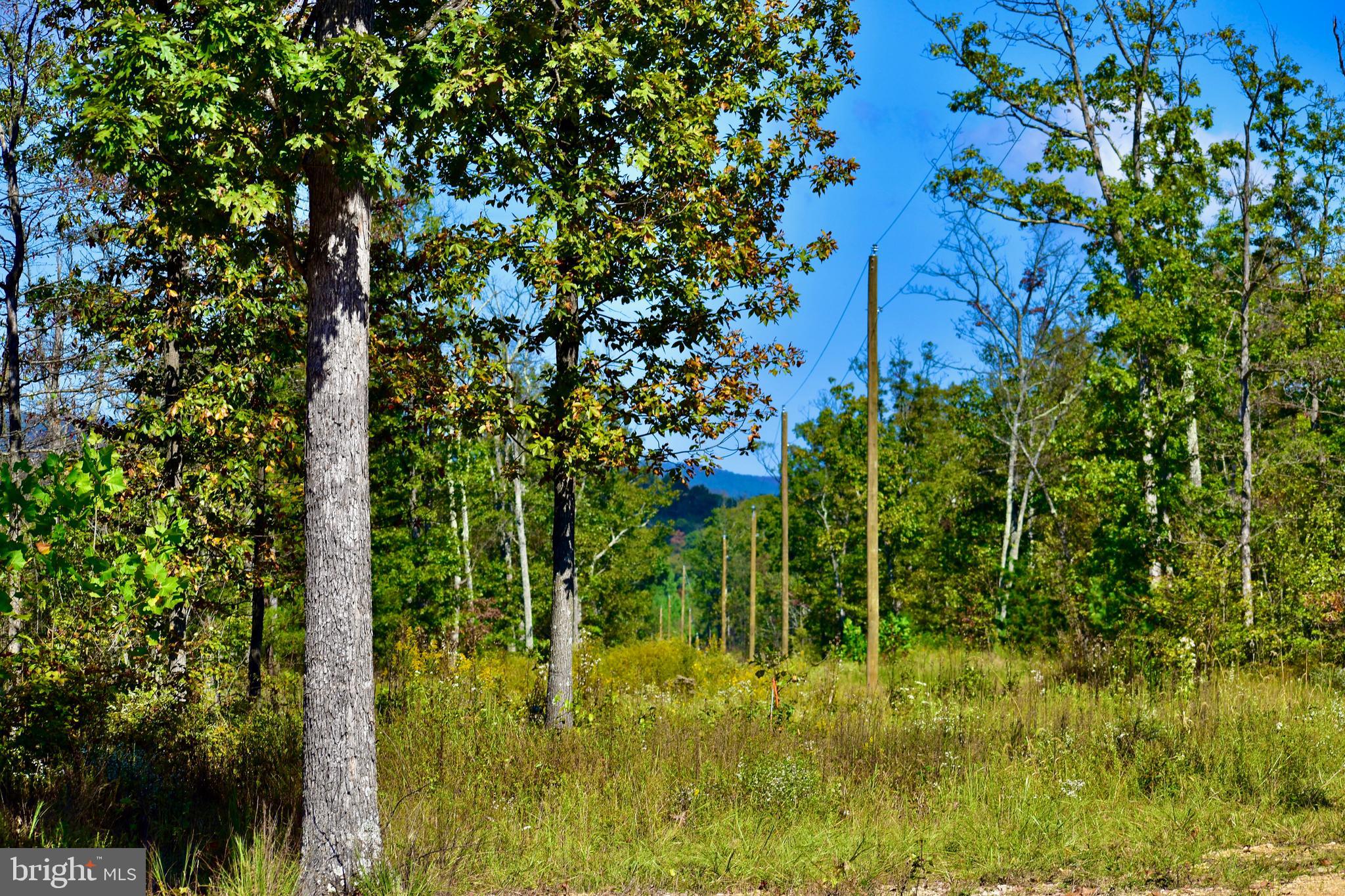 158.5 Acres Lot 3 LAUREL GROVE RD.