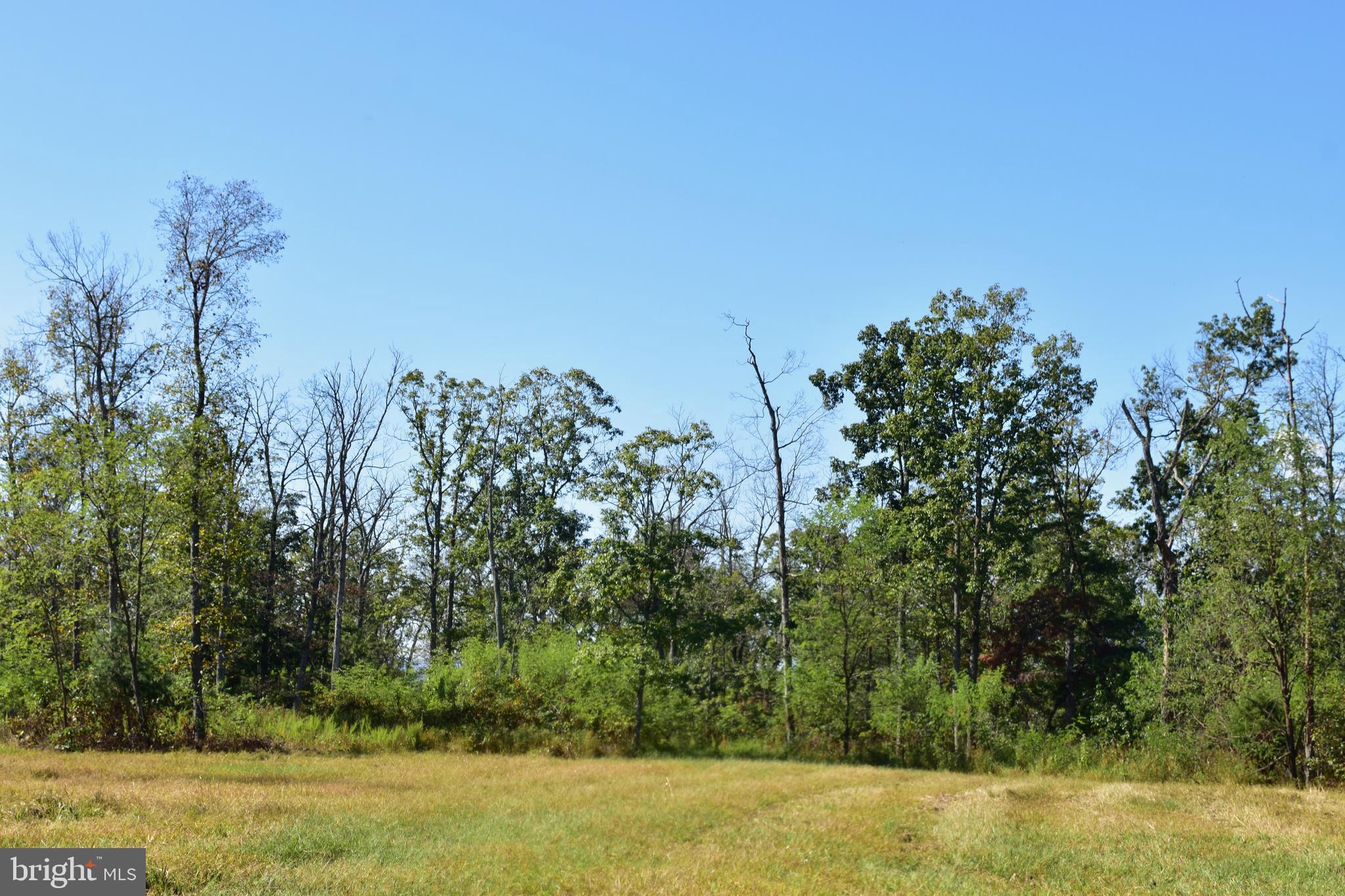 158.5 Acres Lot 3 LAUREL GROVE RD.