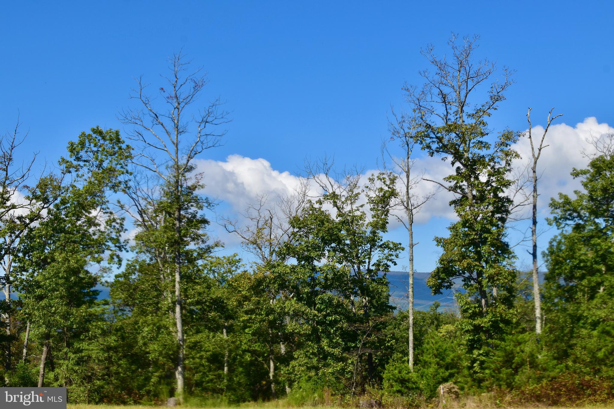 158.5 Acres Lot 3 LAUREL GROVE RD.