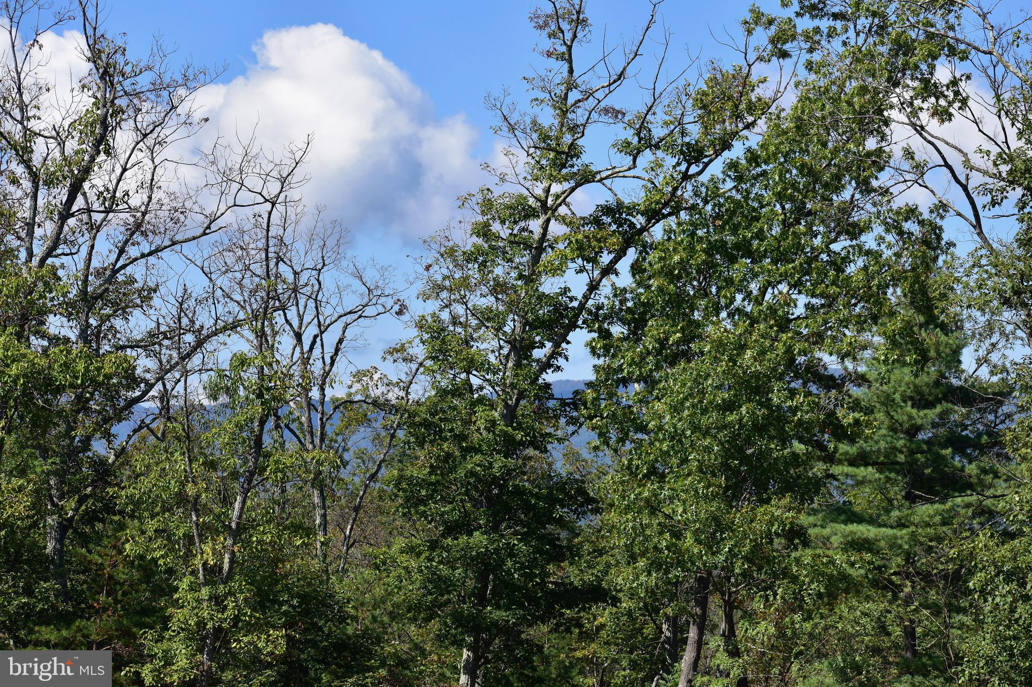 158.5 Acres Lot 3 LAUREL GROVE RD.