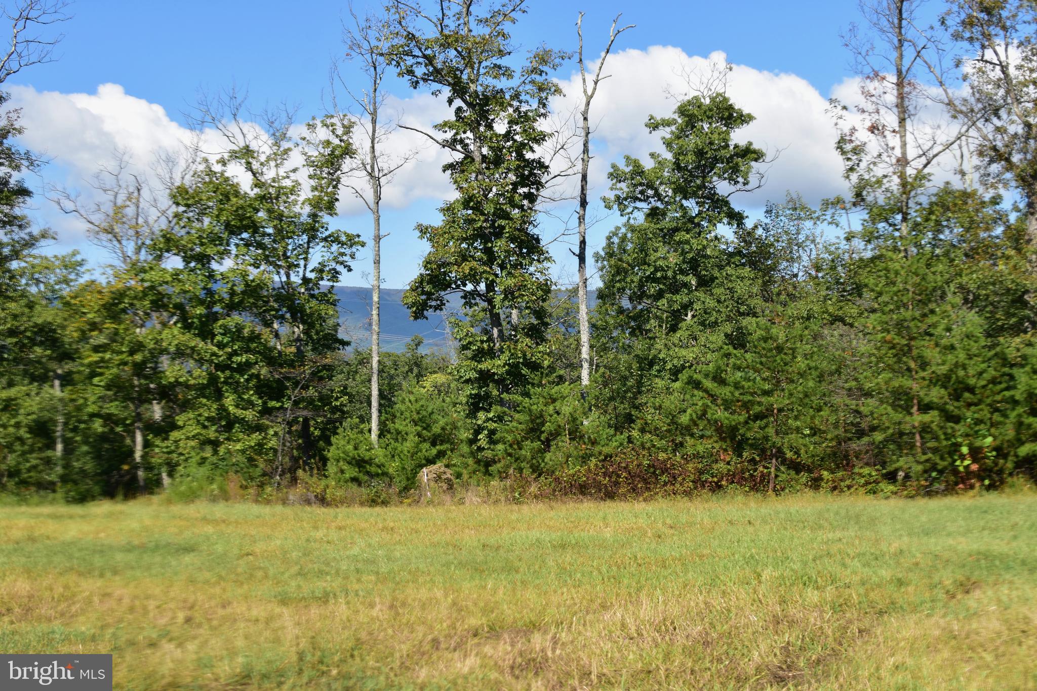 158.5 Acres Lot 3 LAUREL GROVE RD.