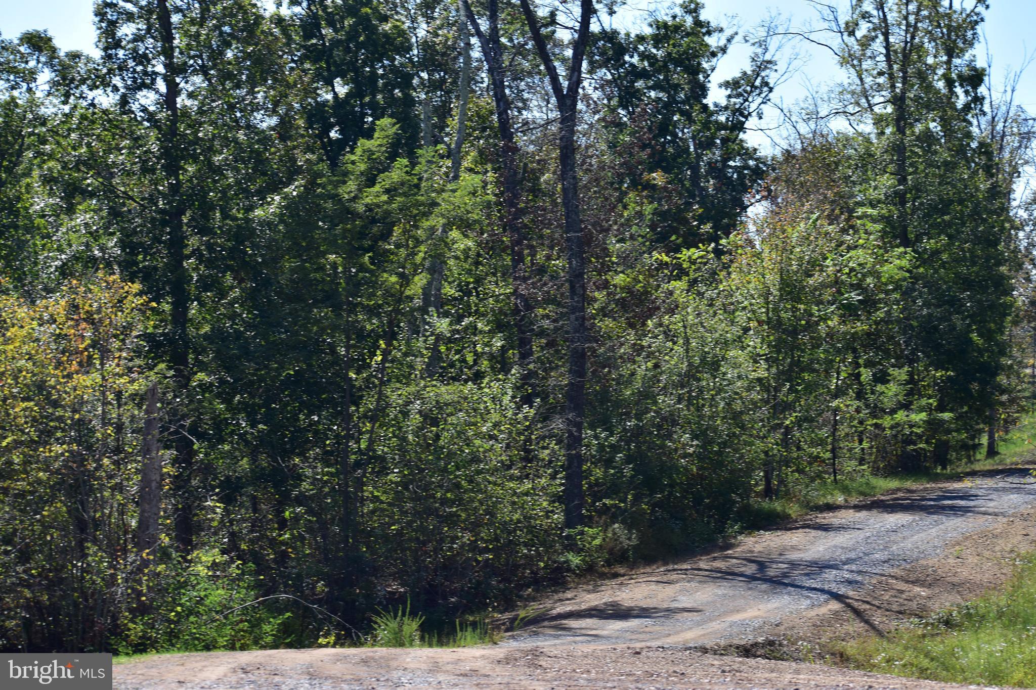 158.5 Acres Lot 3 LAUREL GROVE RD.