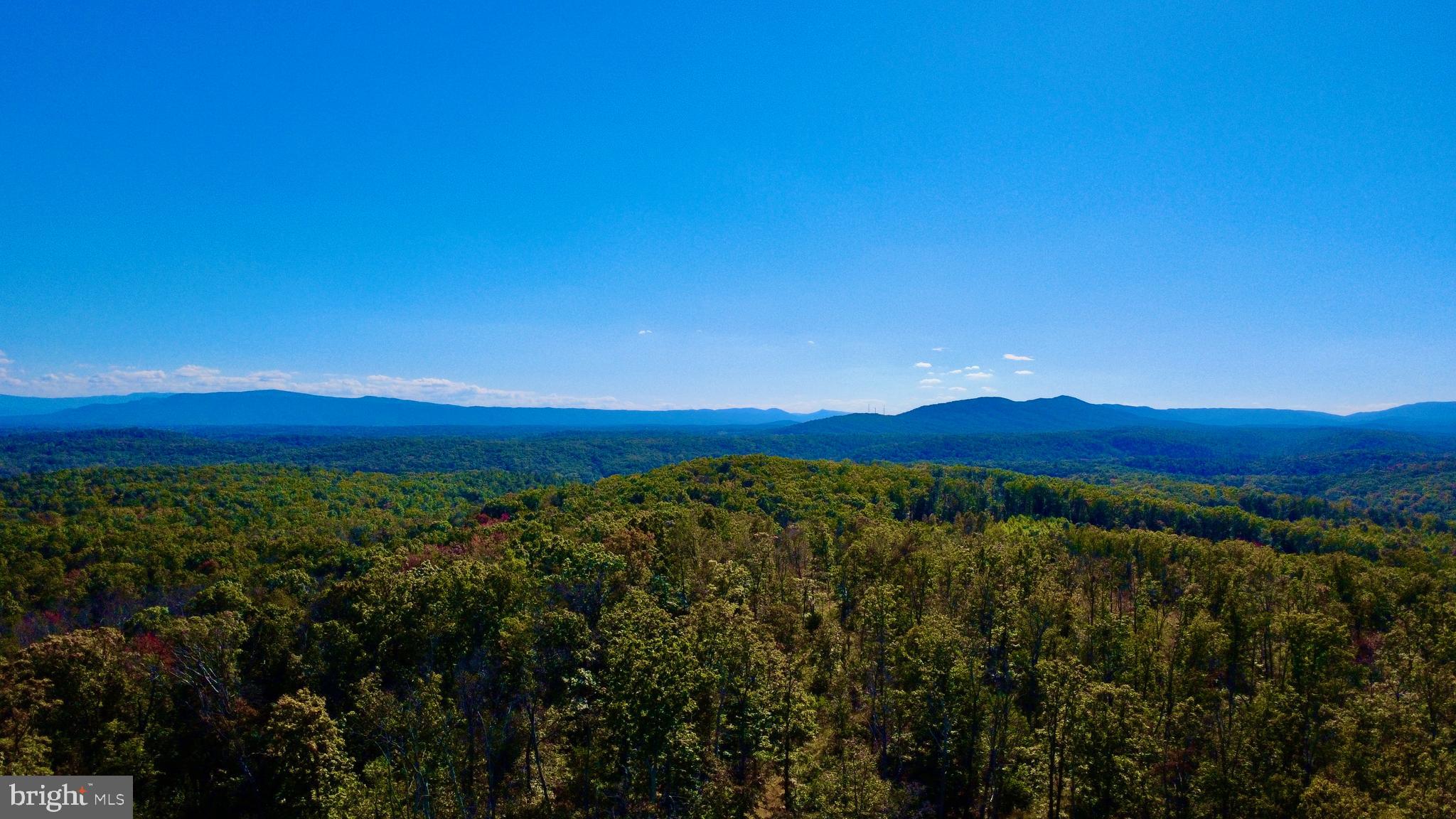 158.5 Acres Lot 3 LAUREL GROVE RD.