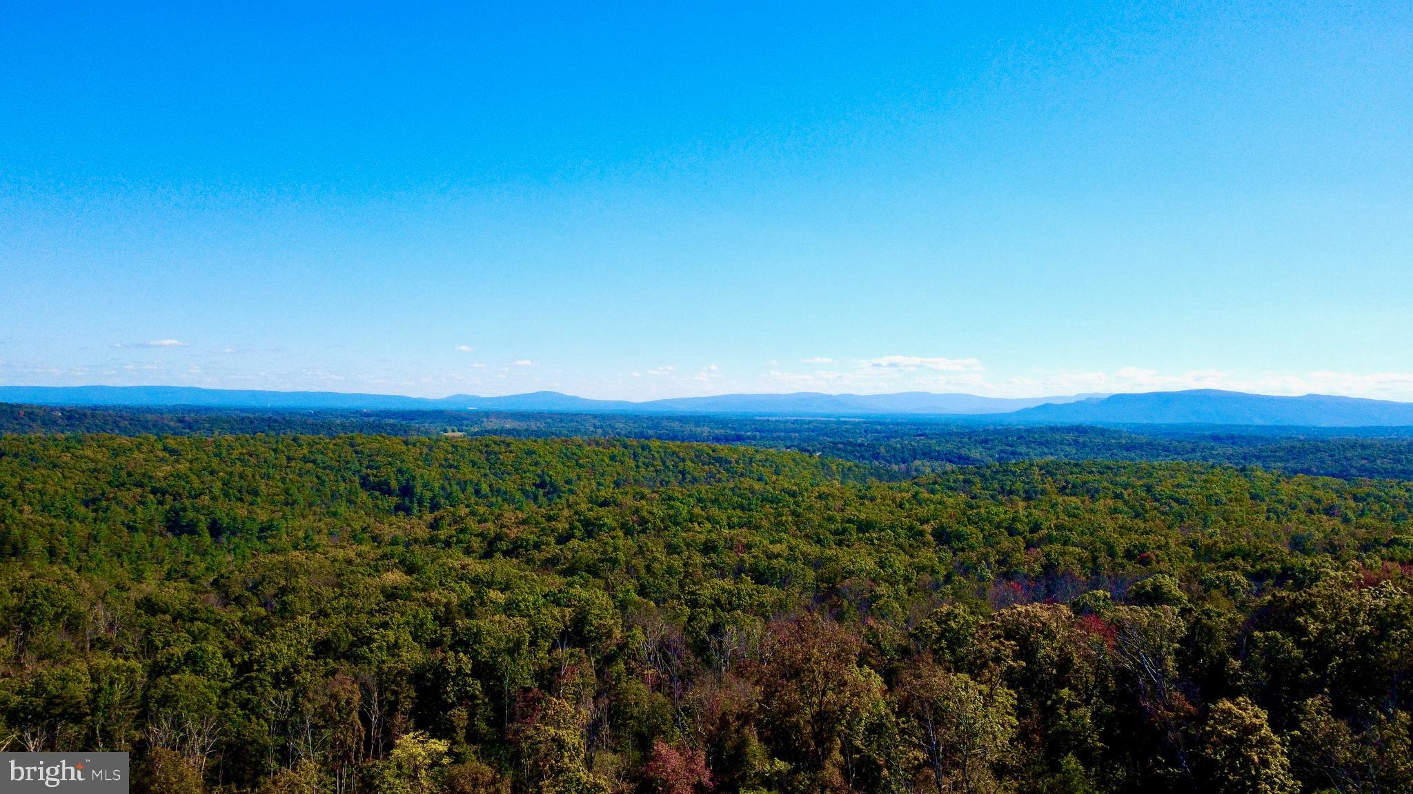 158.5 Acres Lot 3 LAUREL GROVE RD.