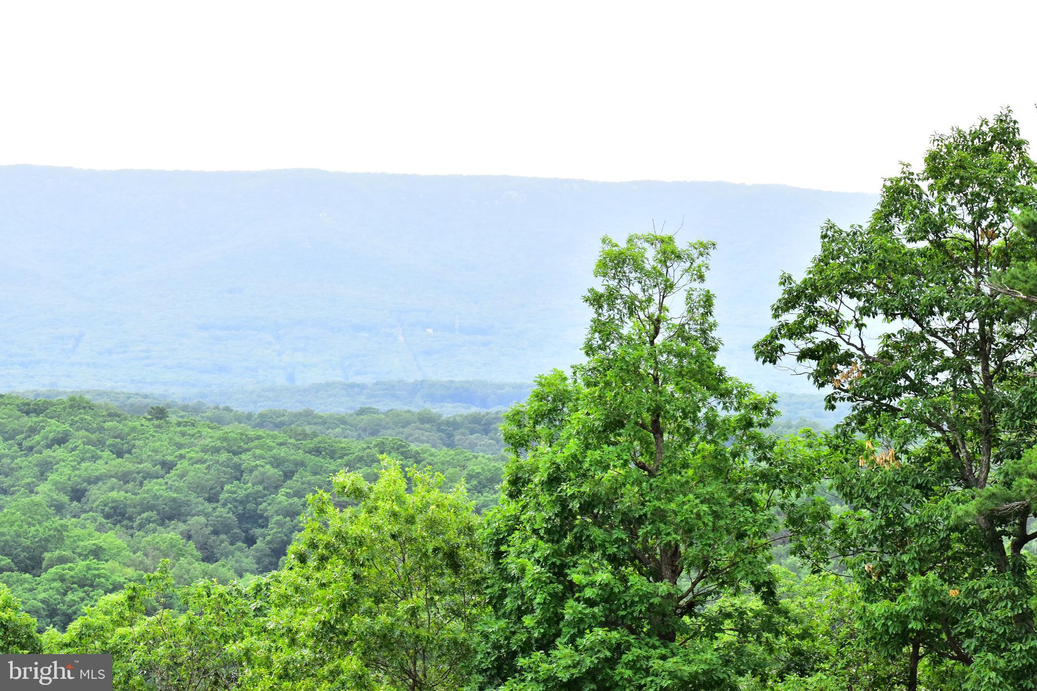 158.5 Acres Lot 3 LAUREL GROVE RD.