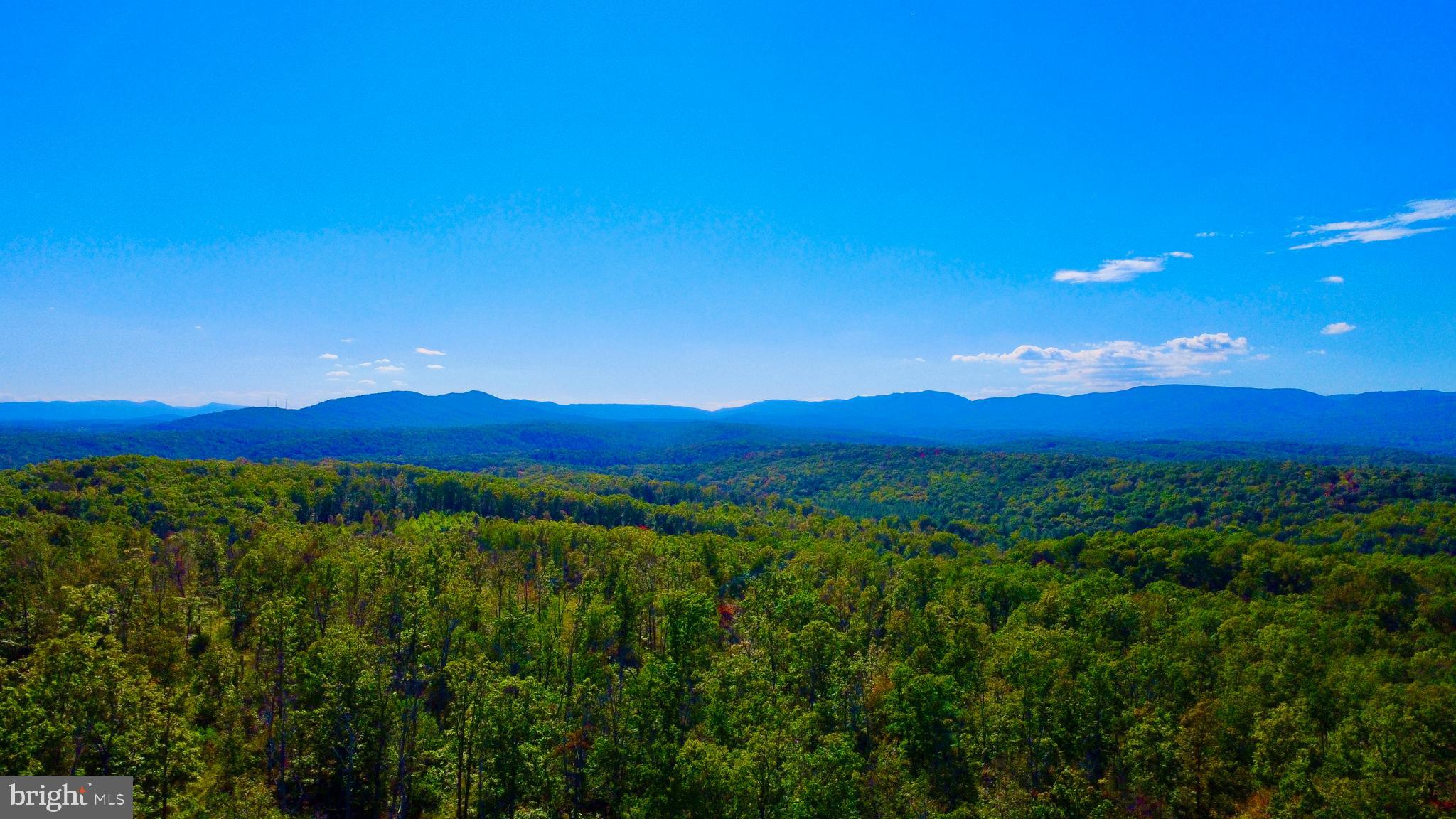 158.5 Acres Lot 3 LAUREL GROVE RD.