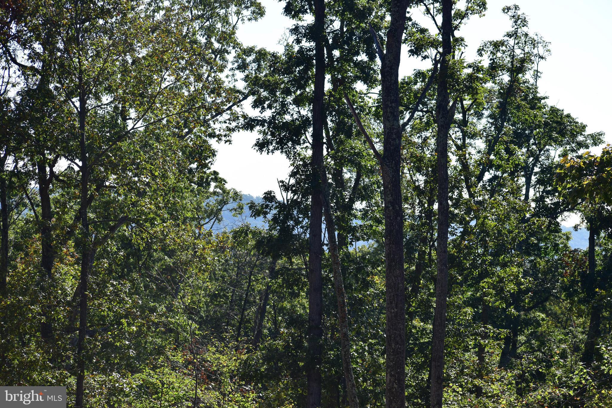 158.5 Acres Lot 3 LAUREL GROVE RD.